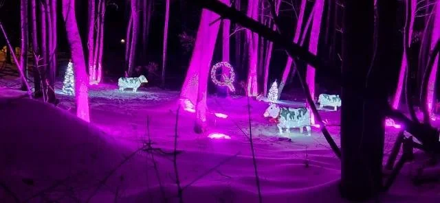 Community Decorating Contest