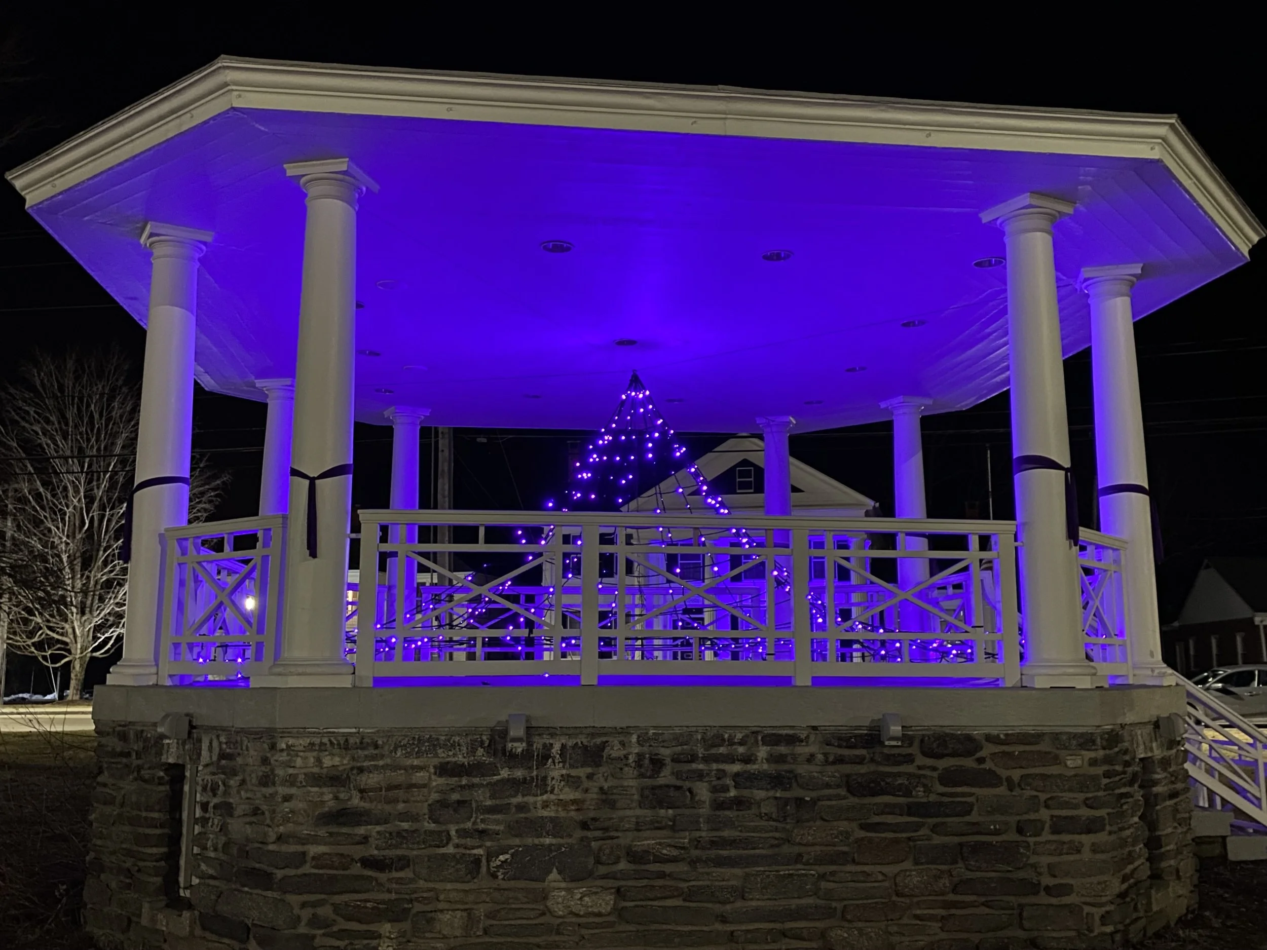 Purple for Prevention Decoration, Barre