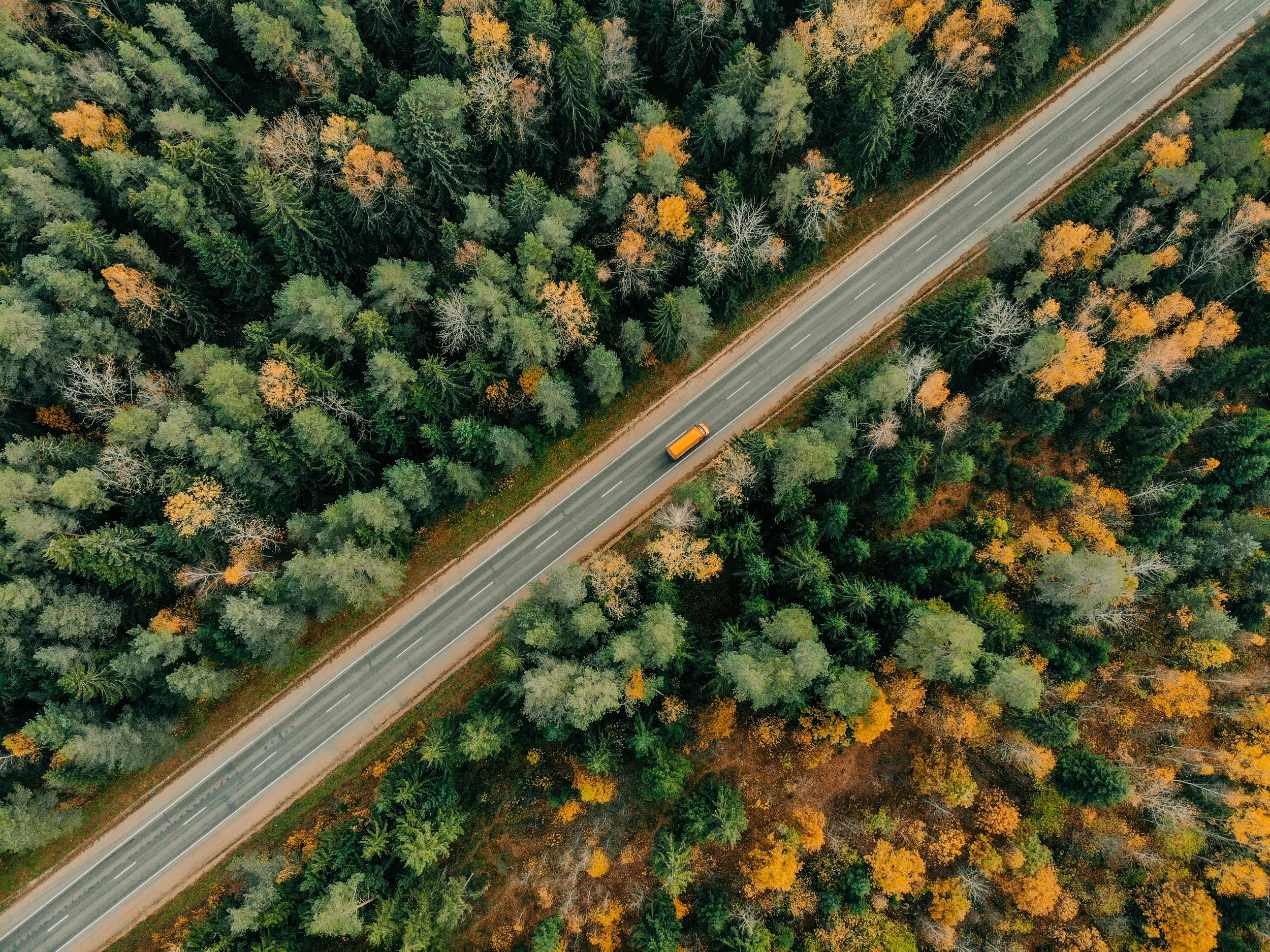 An aerial view of a forested area with a road running through the center. A single orange vehicle is driving on the road, surrounded by trees in shades of green, yellow, and orange, indicating autumn.
