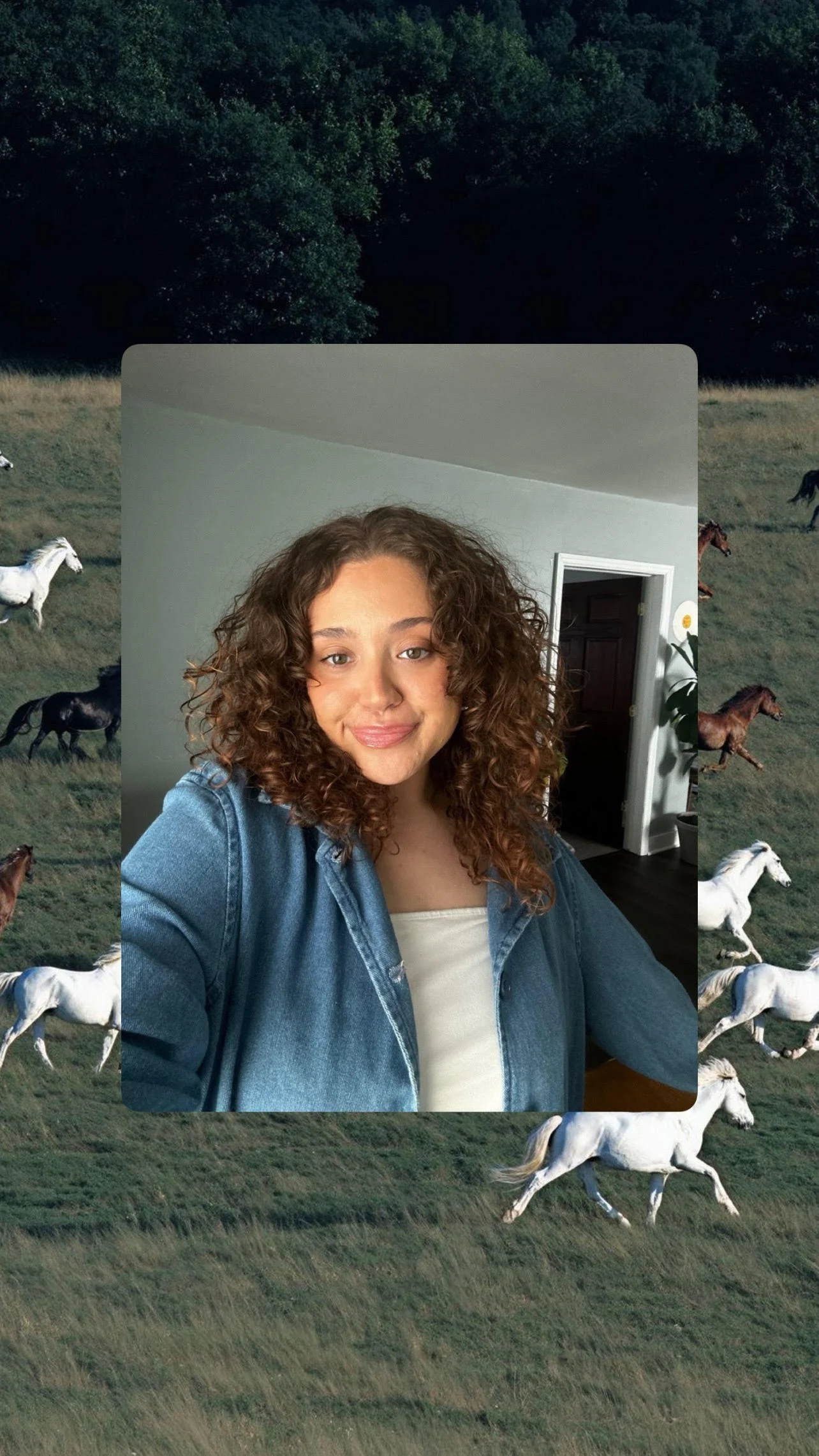 horses, curly hair, writer,