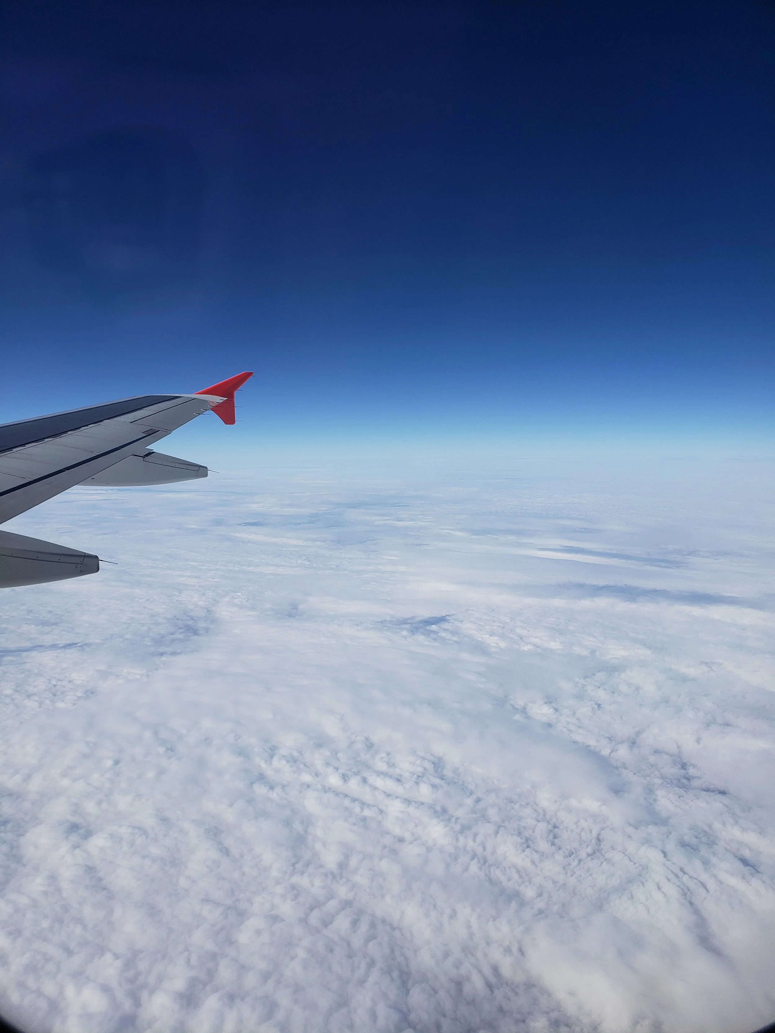 The Balance of Life &amp; Death