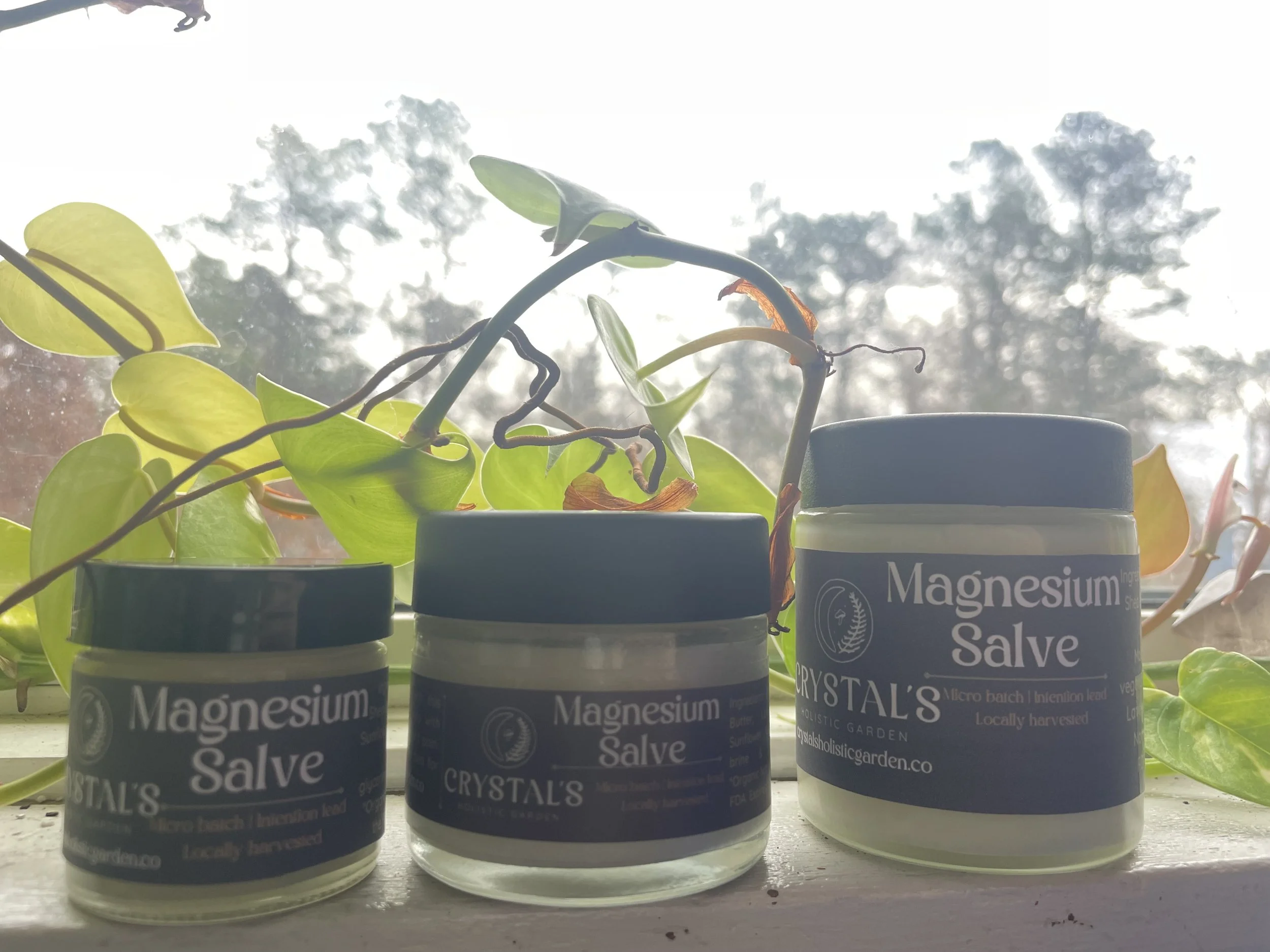 Magnesium Salve