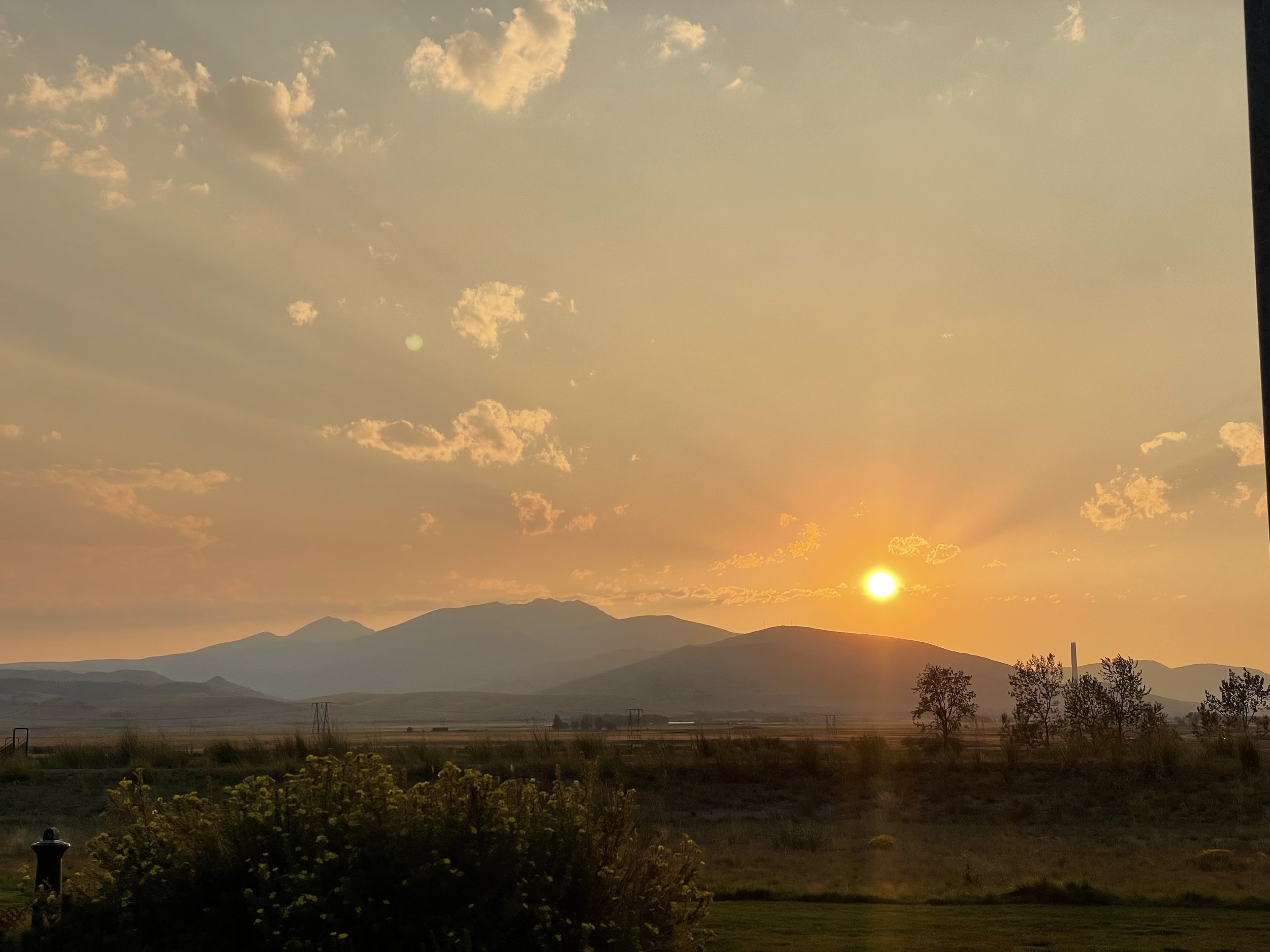 Self Care Assessment