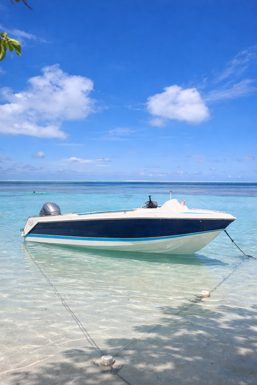 ⛵ Excursions en bateau