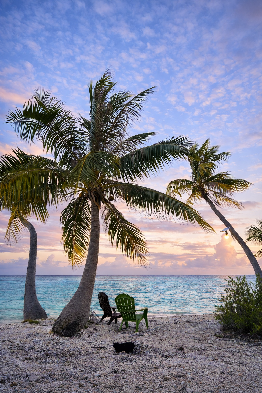 Location de bungalows, hébergement touristique