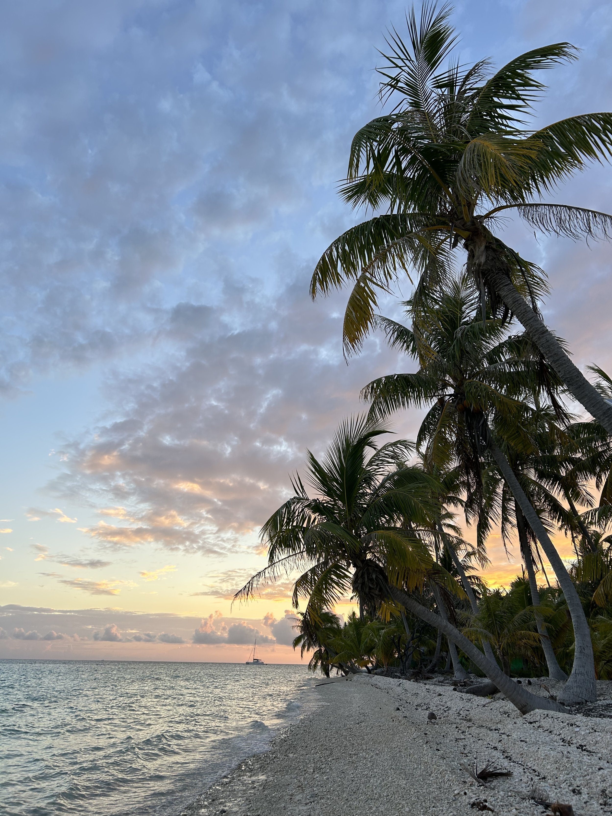 Coucher de soleil tropical à Fakarava en Polynésie française près des bungalows de vacances
