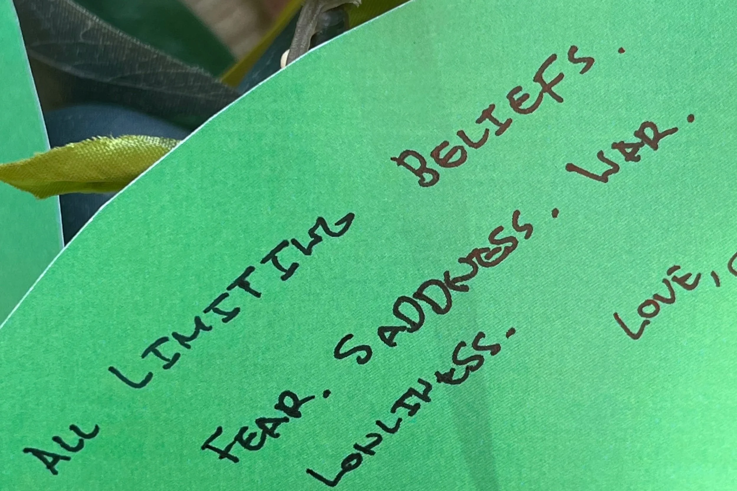 Many limiting beliefs are narratives or conditioning we took on that aren't ours. It would be the greatest gift of our lives to reclaim our own narrative. 