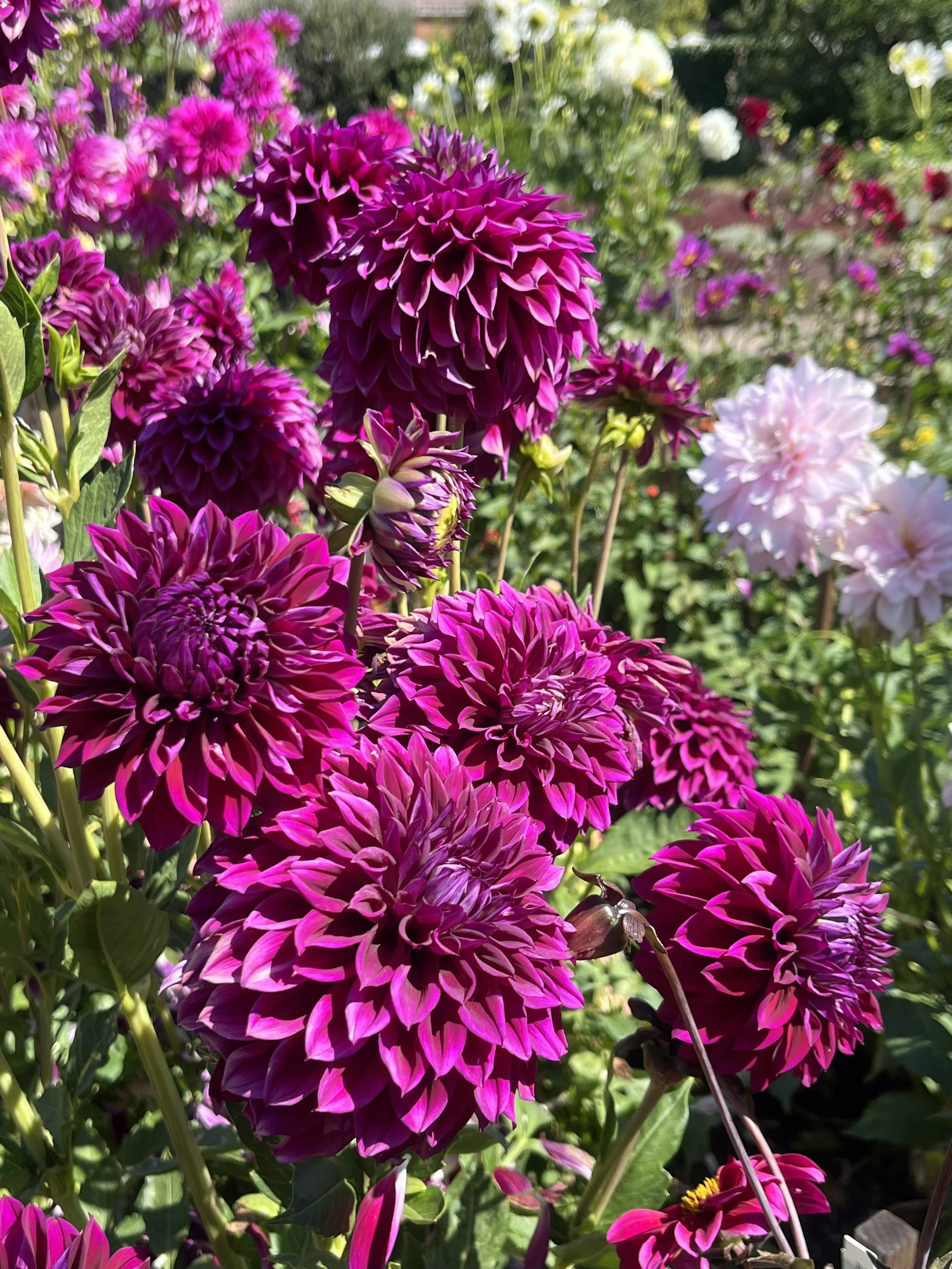 Repeating the same patterns