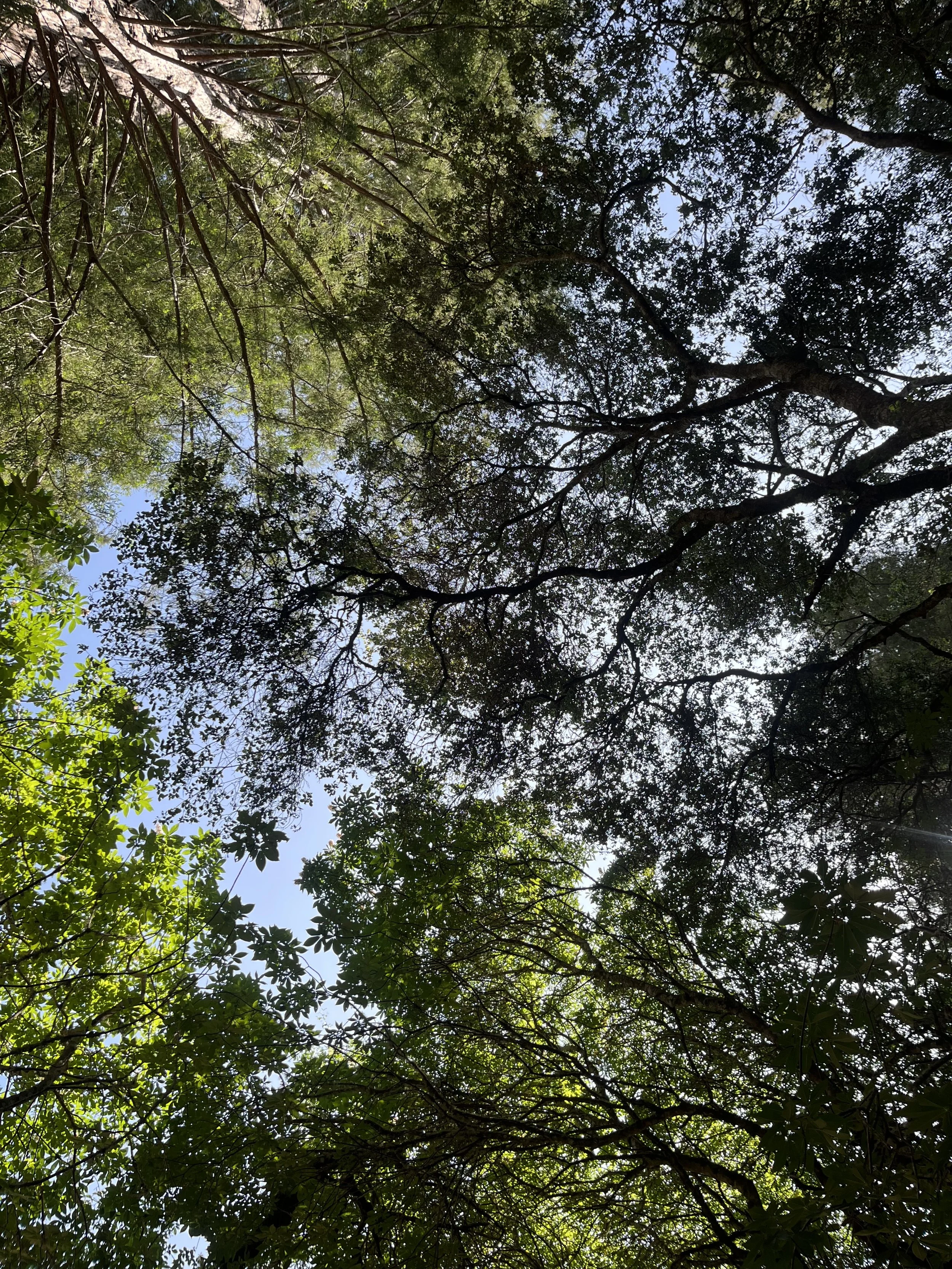 When unresolved emotions are compensated