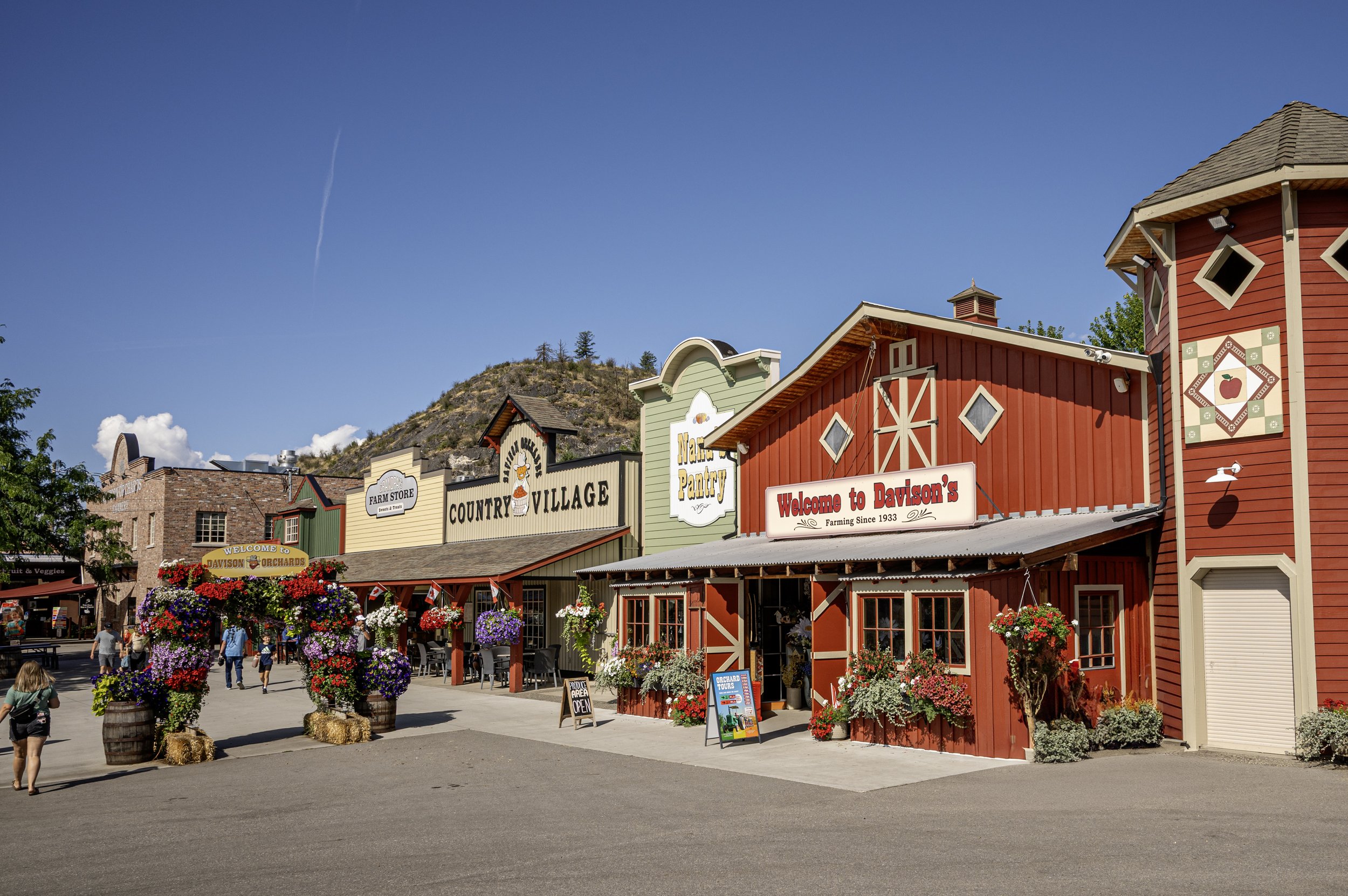 Davison Orchards Country Village in Summer