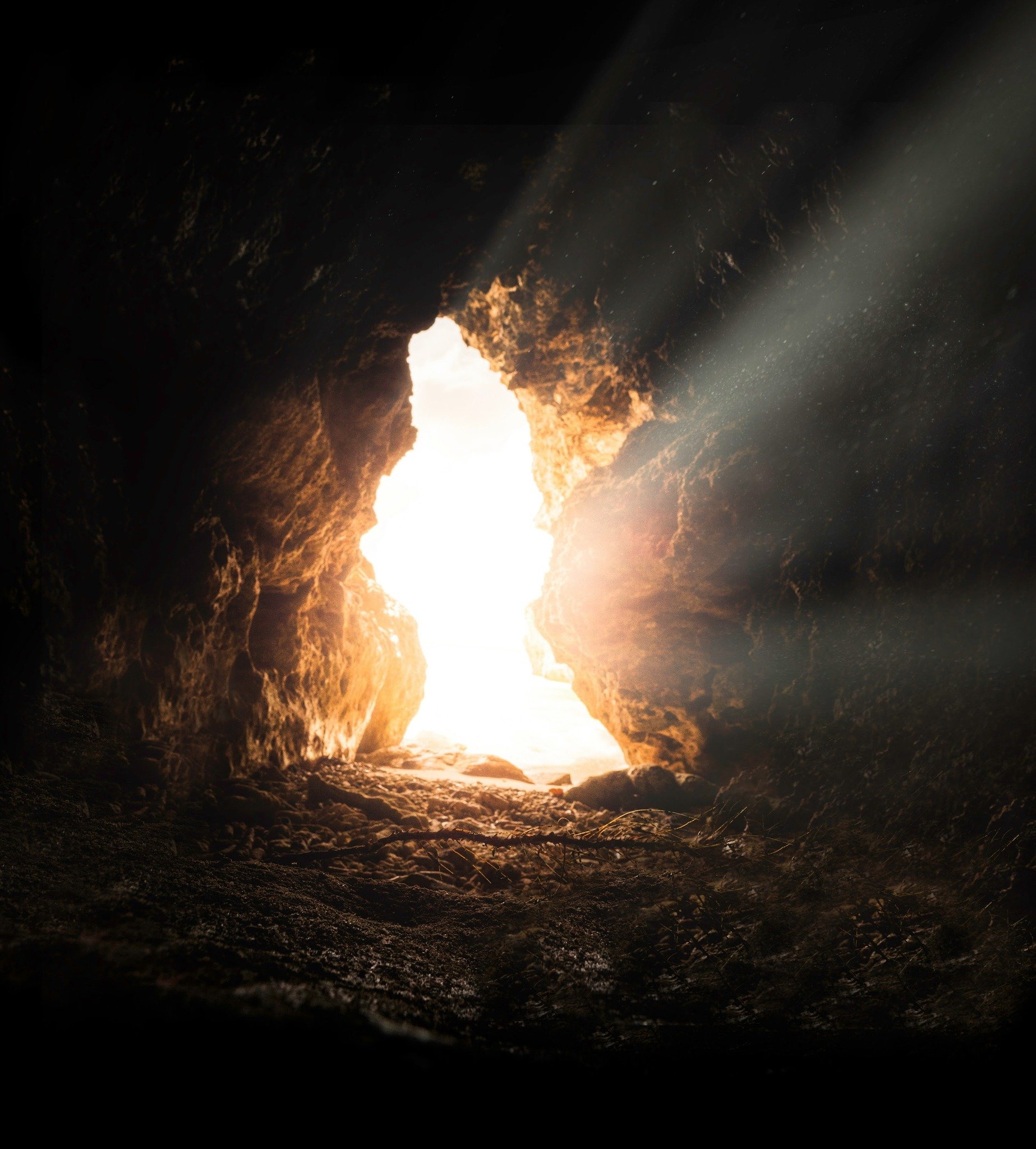 ✝️ Jesus is Risen!

"I am the light of the world. Whoever follows me will never walk in darkness, but will have the light of life." &mdash; John 8:12

Happy Easter from the Davison family!

#HappyEaster #JesusIsTheLight #EasterJoy #DavisonF