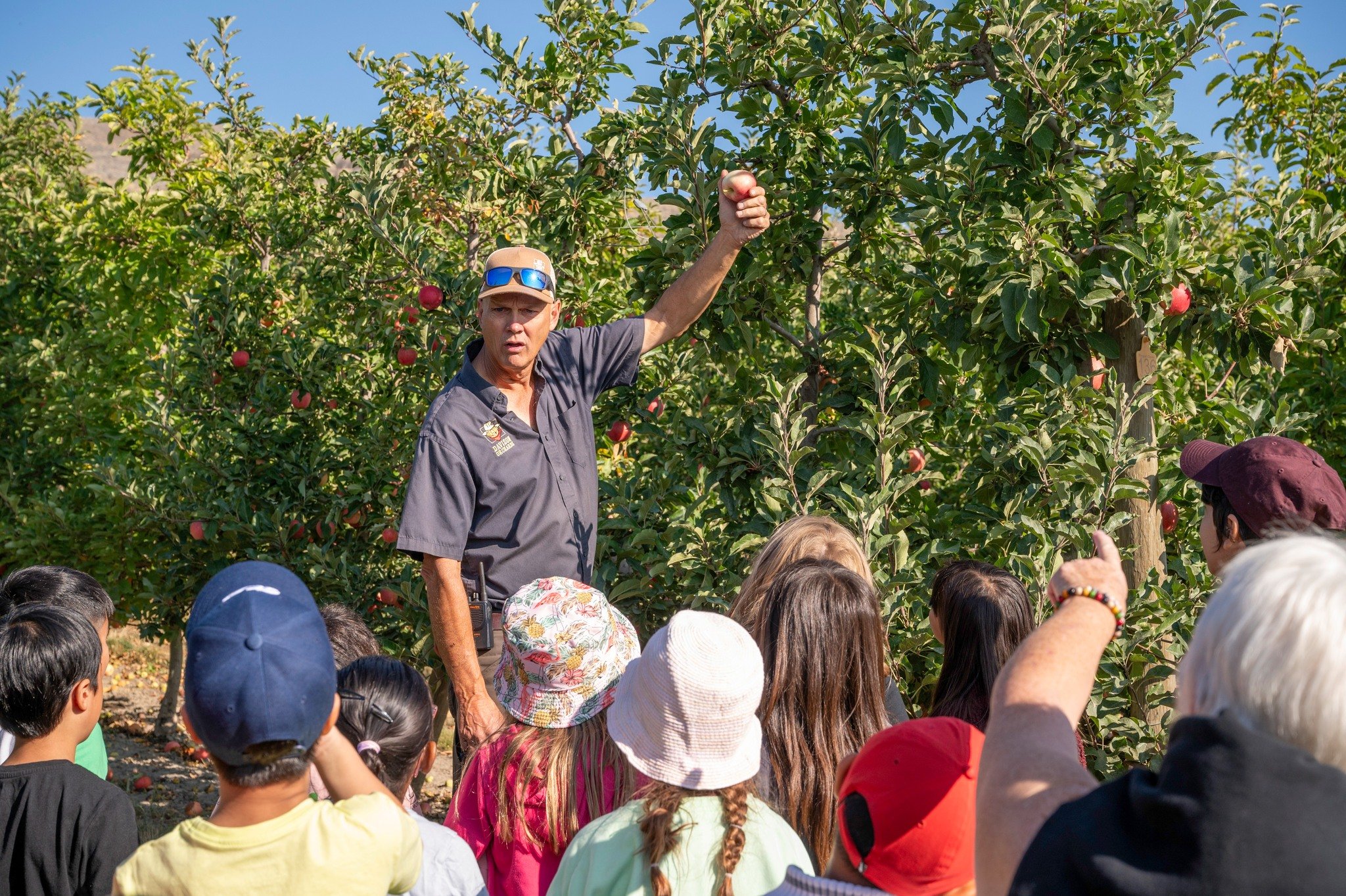 🚜🍎 FREE School Tour Draw is NOW OPEN!

Teachers of Grades 1 to 5, your class could win a one of the three Free Orchard Tours at Davison Orchards:
🌸 Spring at the Orchard
🍎 Apple Harvest
🎃 Pumpkin Time

🌱Hands on learning and a fun day at the fa