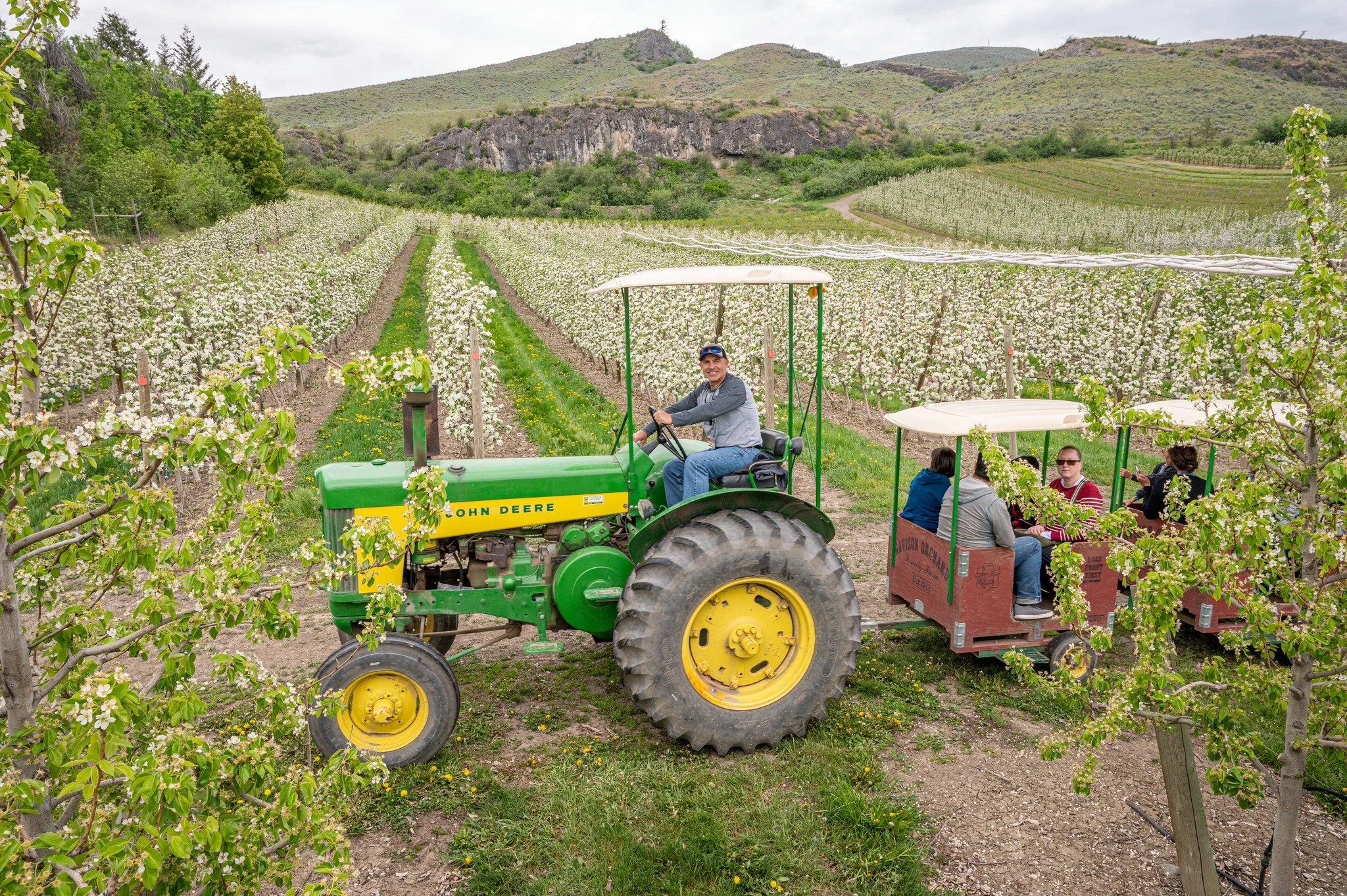 1 MORE SLEEP TO OPENING! 🎉🌸

This is a very special time of year at the farm&hellip;

Only a few days of full blossom magic like this 🌸

We open tomorrow!
May 1 | 9:00 am to 5:30 pm
Orchard Tours | Friday and Saturday | 10:00 am to 4:00 pm

#Openi