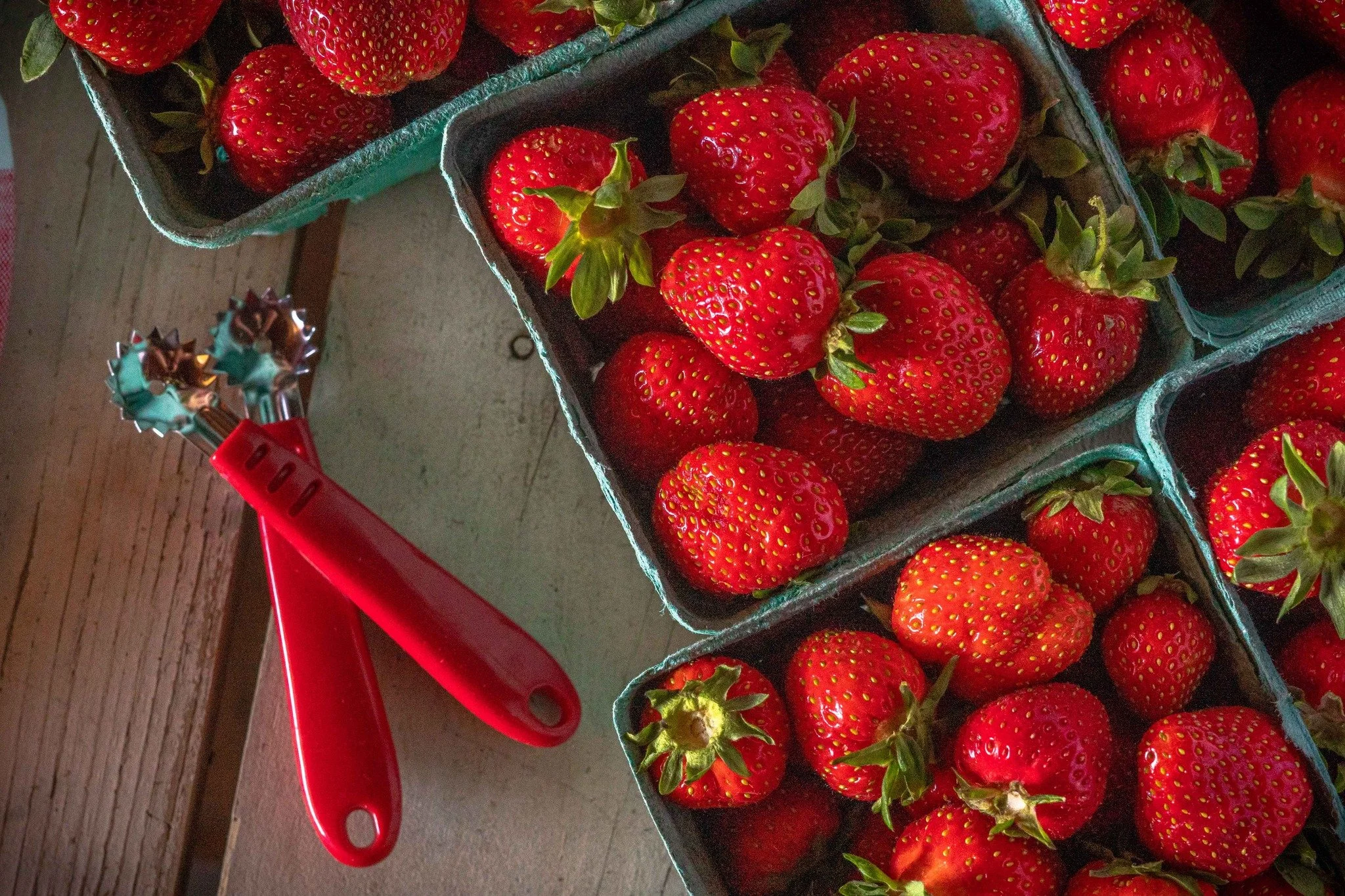 Freshly Picked Strawberries! 🍓🍓🍓🍓
So delicious...😋
Come to the market and get your flat and that little thingy to help you out 😉

We are open Tuesday to Saturday from 9 to 5:30

#DavisonOrchards #strawberries #Localstrawberry #farmersmarket #bu