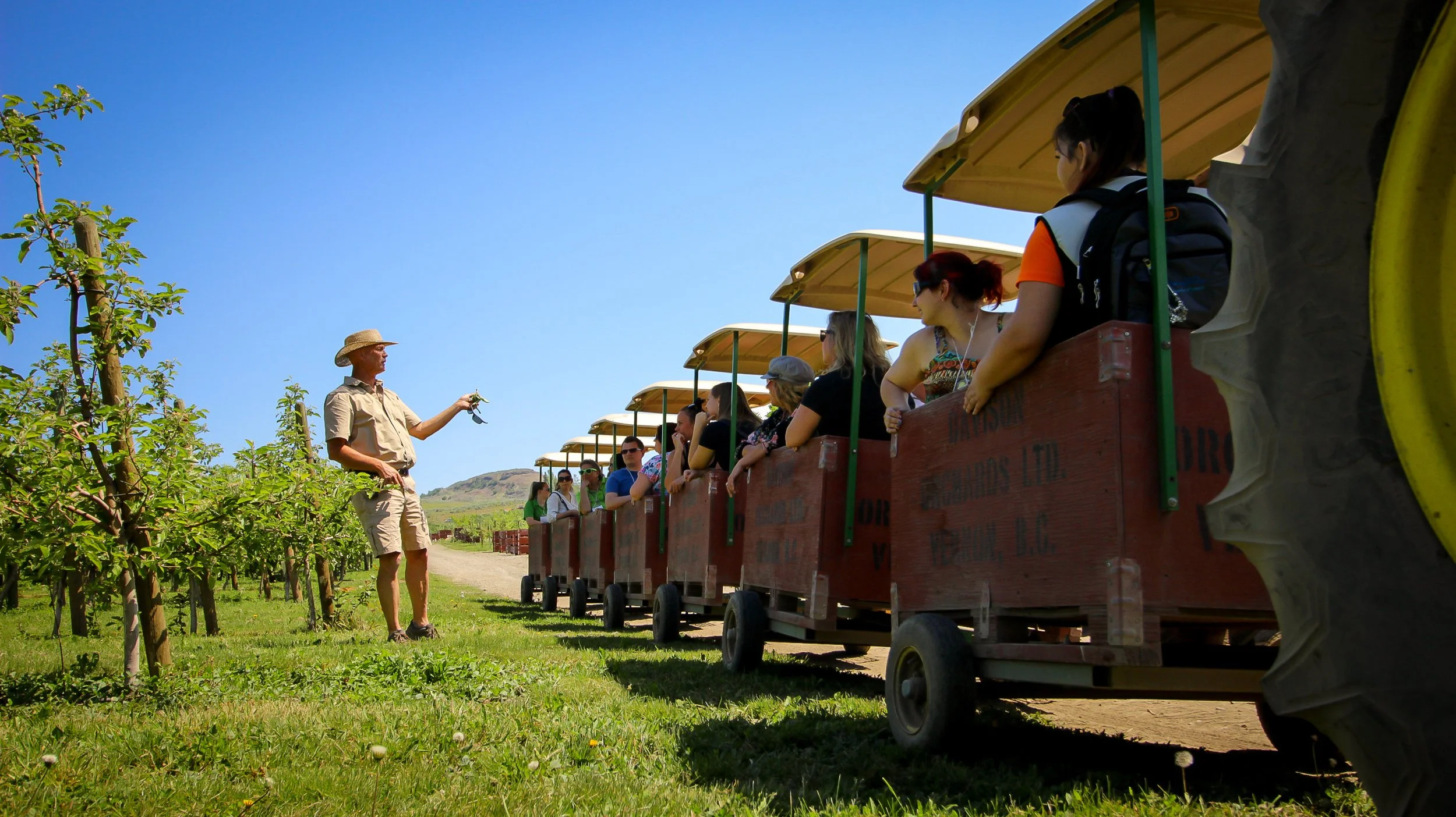 Daily Summer Tours 