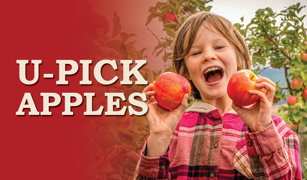 U-Pick Apples at Davison Orchards
