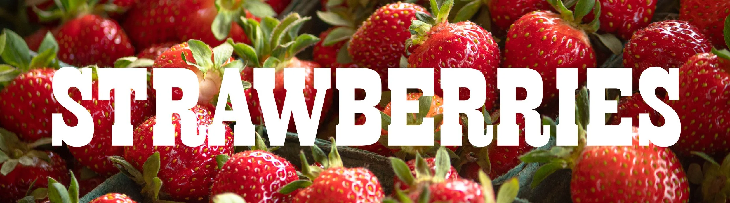 STRAWBERRY SEASON1-01.jpg