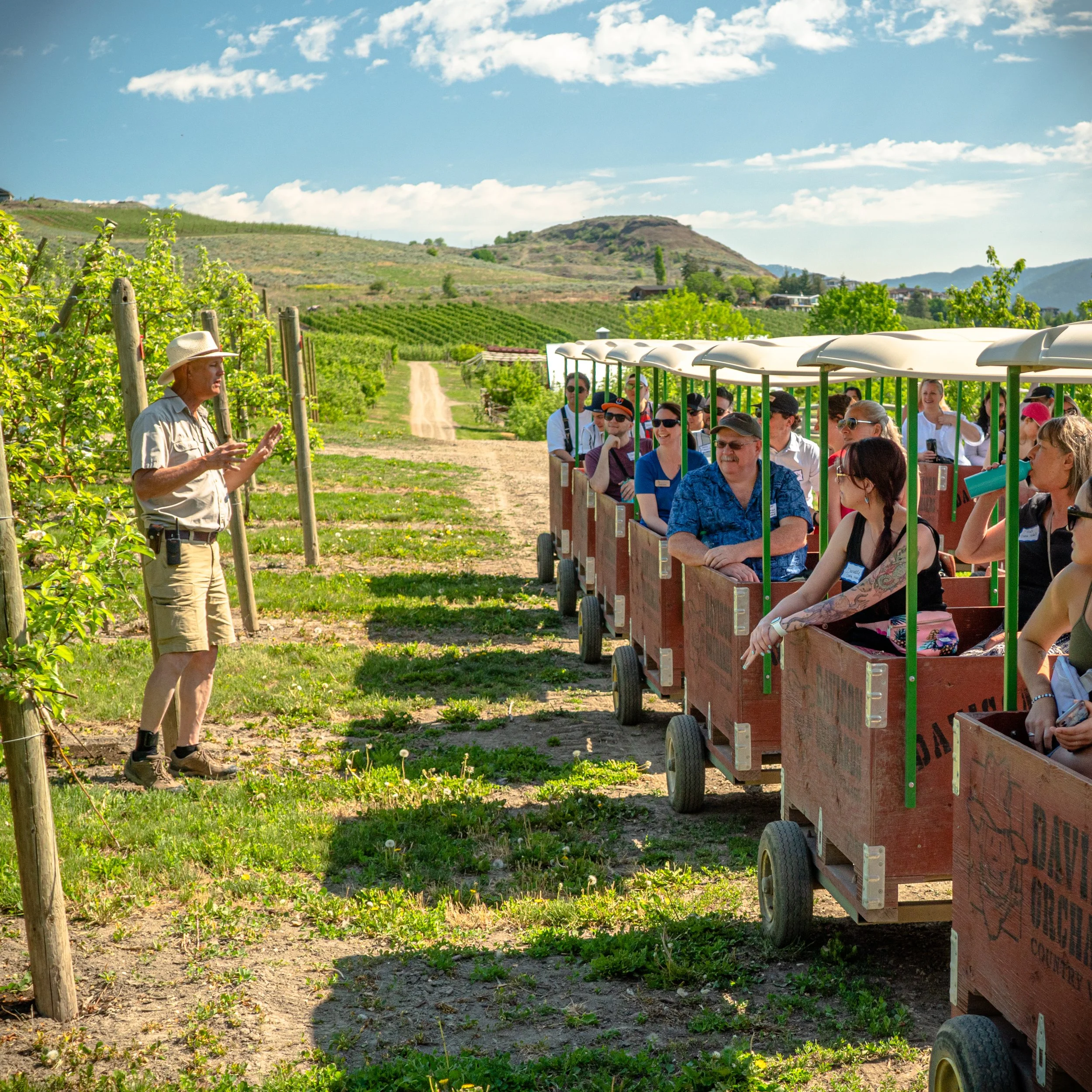Tractor pulling apple bin carts with private tour group at Davison Orchards in Vernon BC with guide explaining the orchard