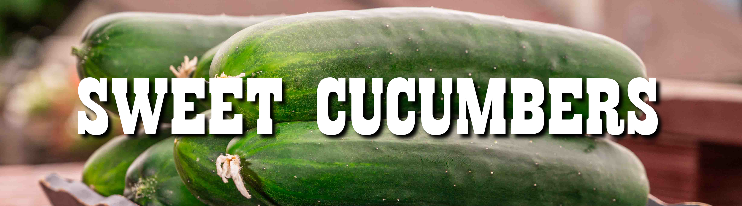 SWEET CUCUMBERS-01.png
