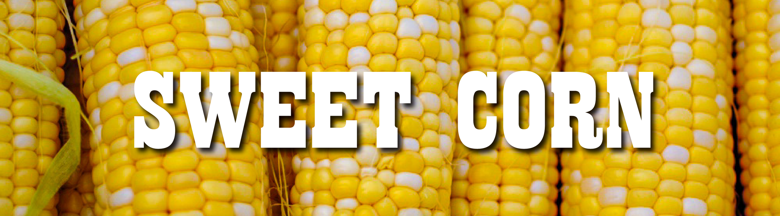 sweet corn3-01.png