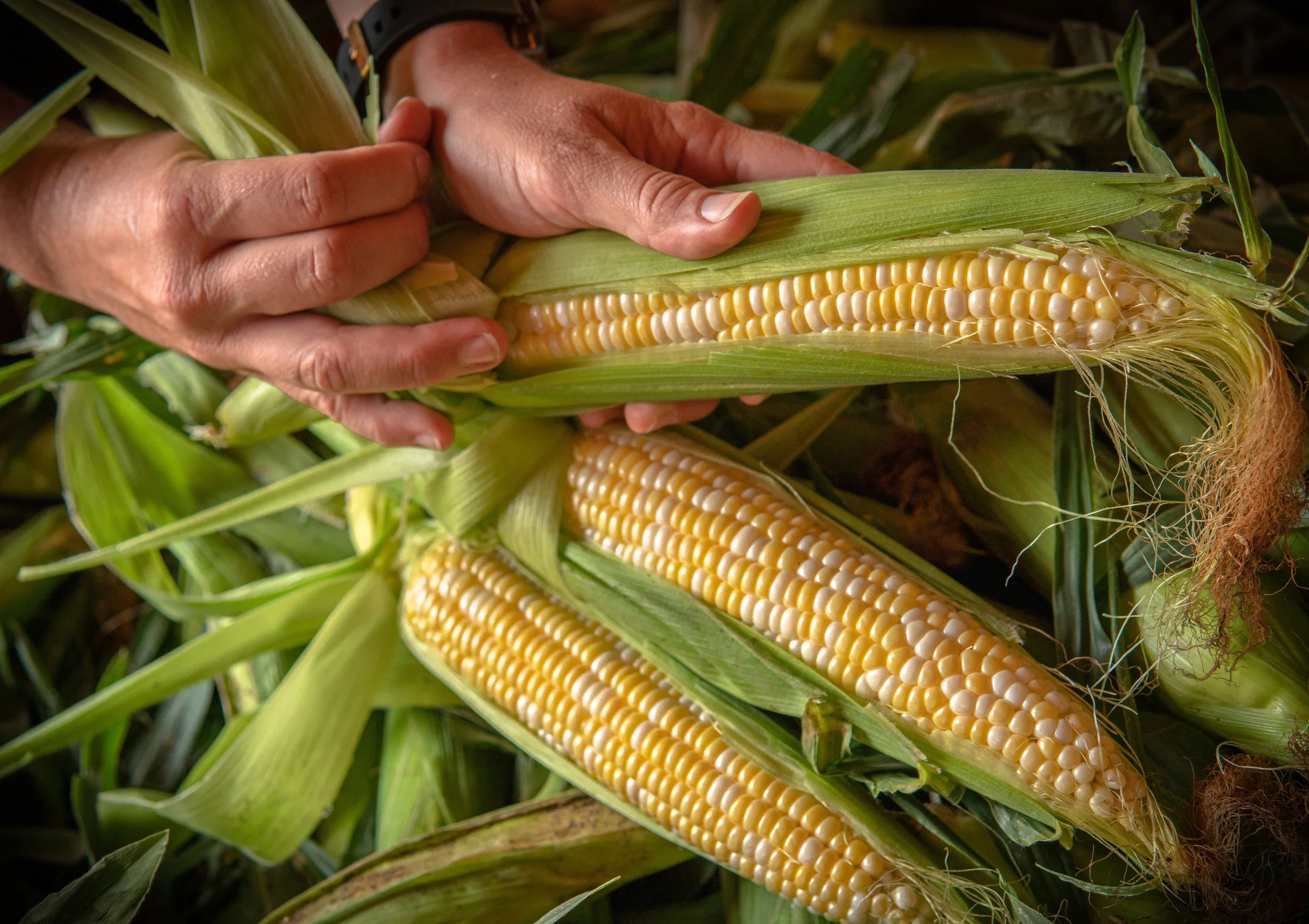 Our Produce — Davison Orchards