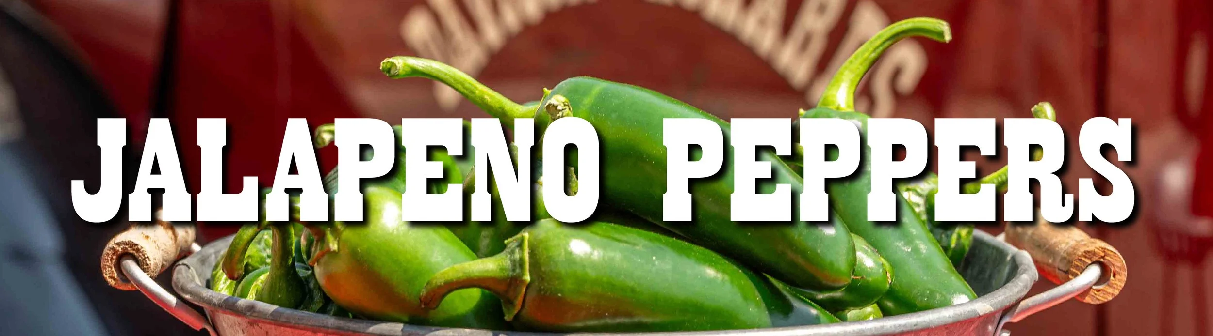 jalapeno-01.jpg