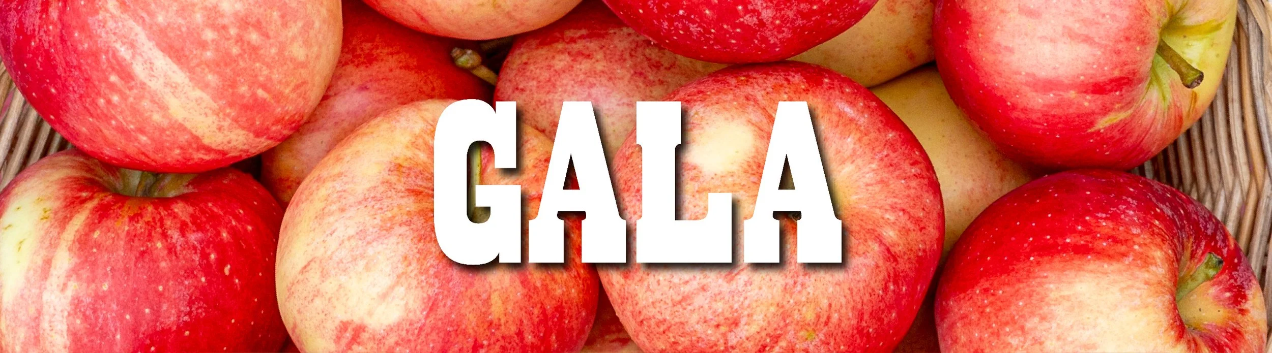 gala.jpg