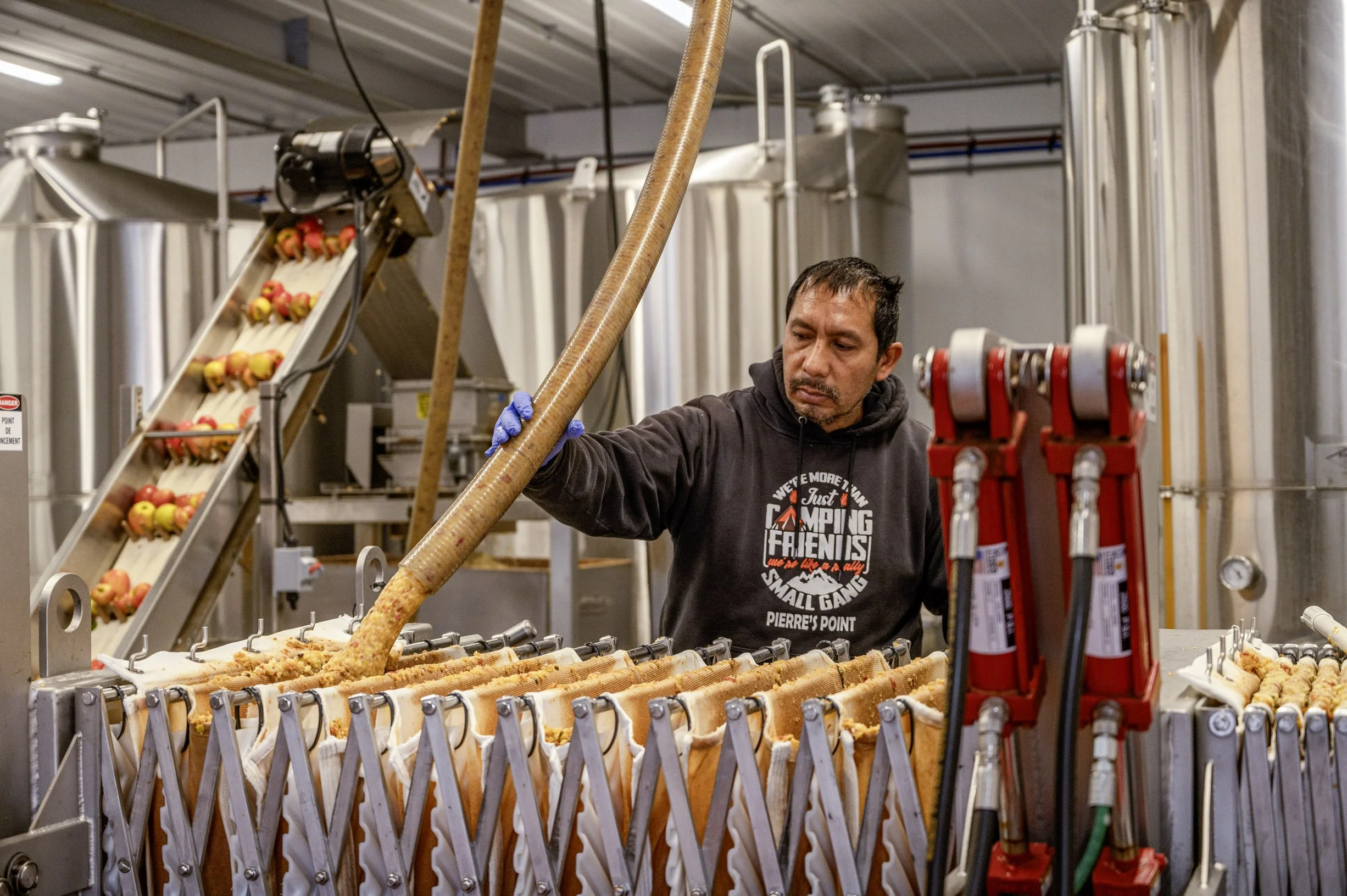 Cold press apple juice production at Davison Orchards with processed apples traveling through tube into accordion press in Vernon BC