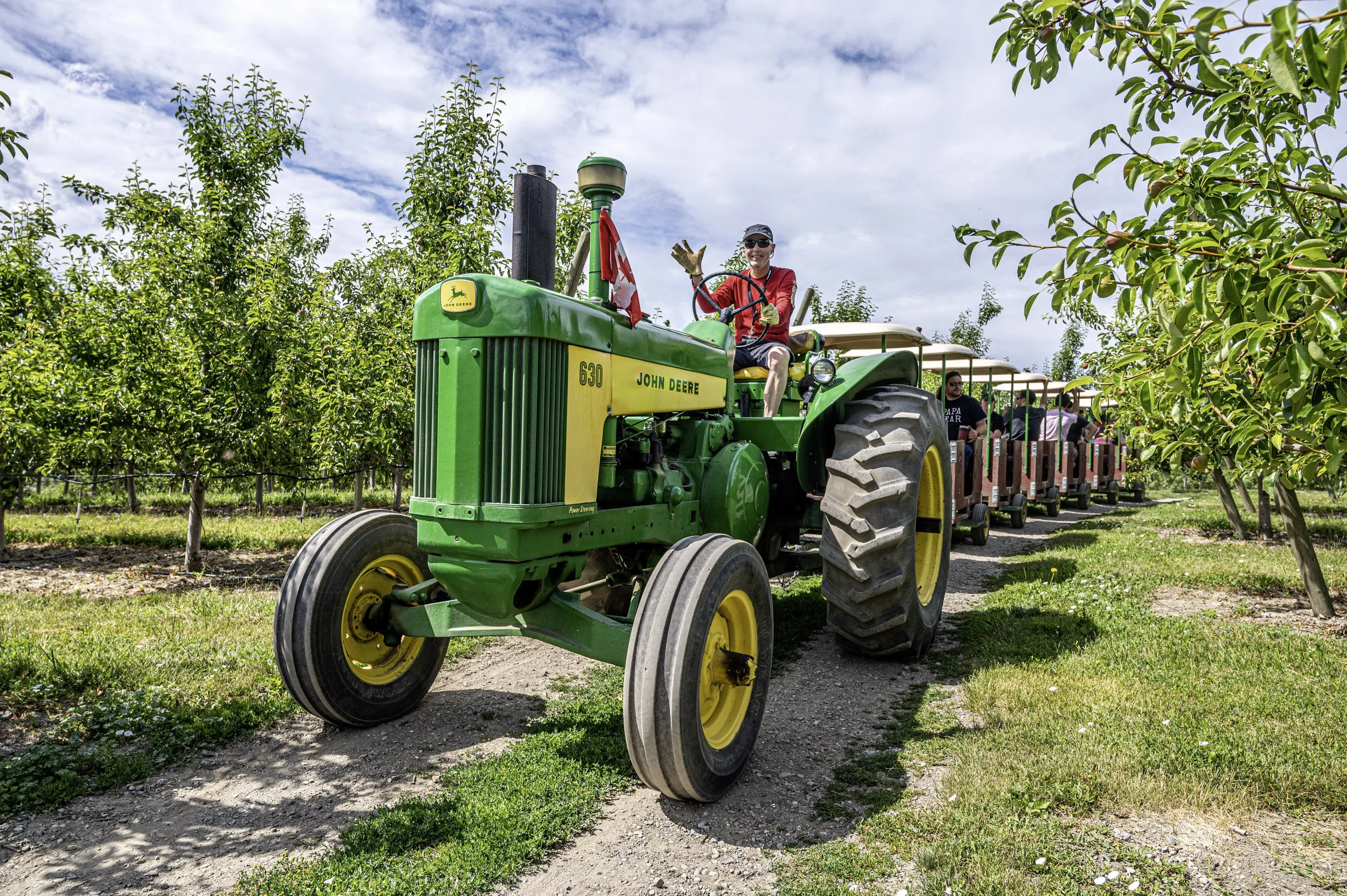 Family farm tour in the Okanagan Valley at Davison Orchards, tractor pulling apple bin train ride in Vernon BC