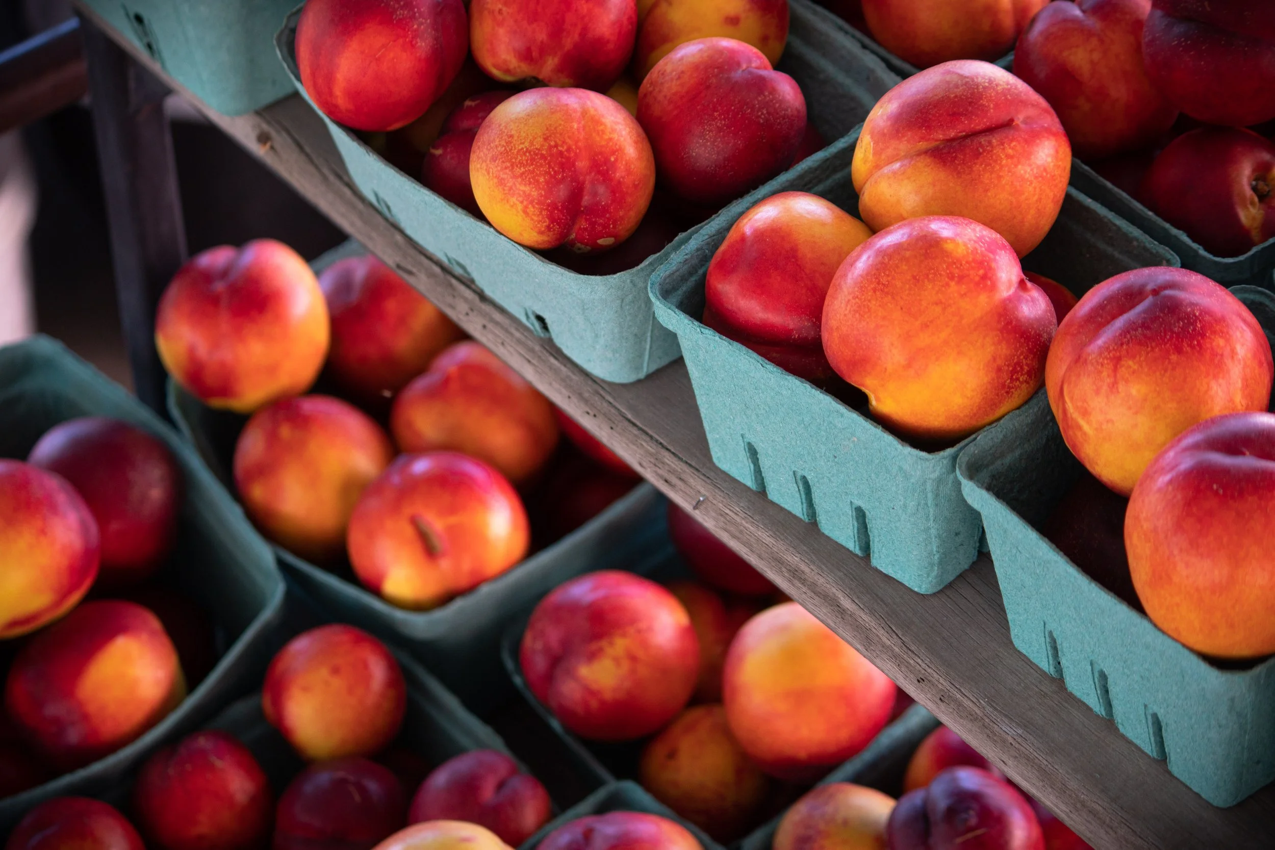 Fresh local nectarines in a basket from the Okanagan Valley, available at Davison Orchards in Vernon BC, Canada