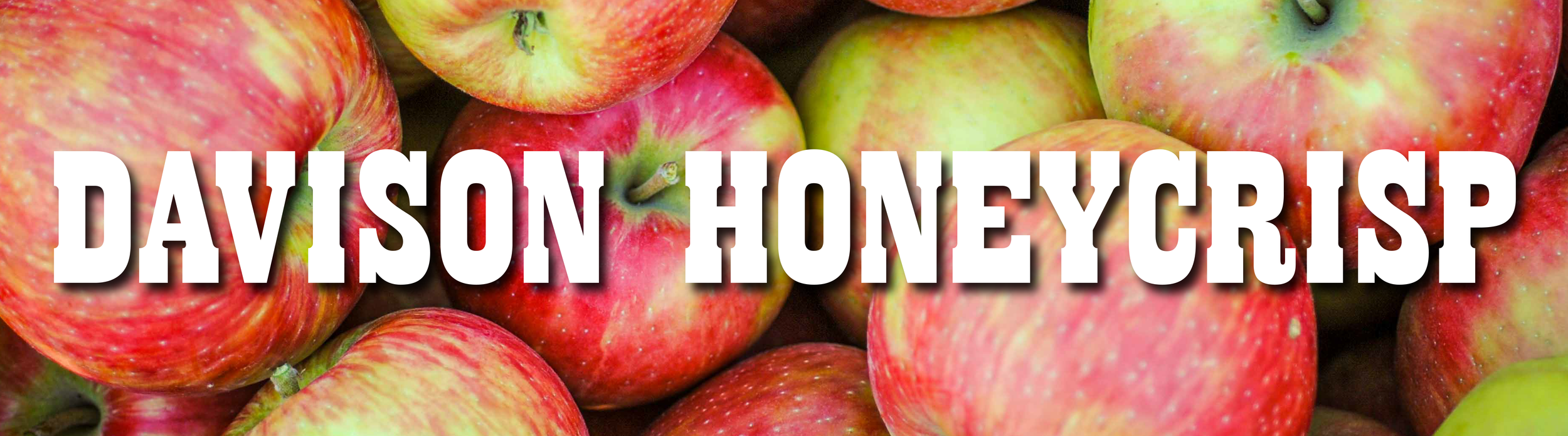 HONEYCRISP-01.png