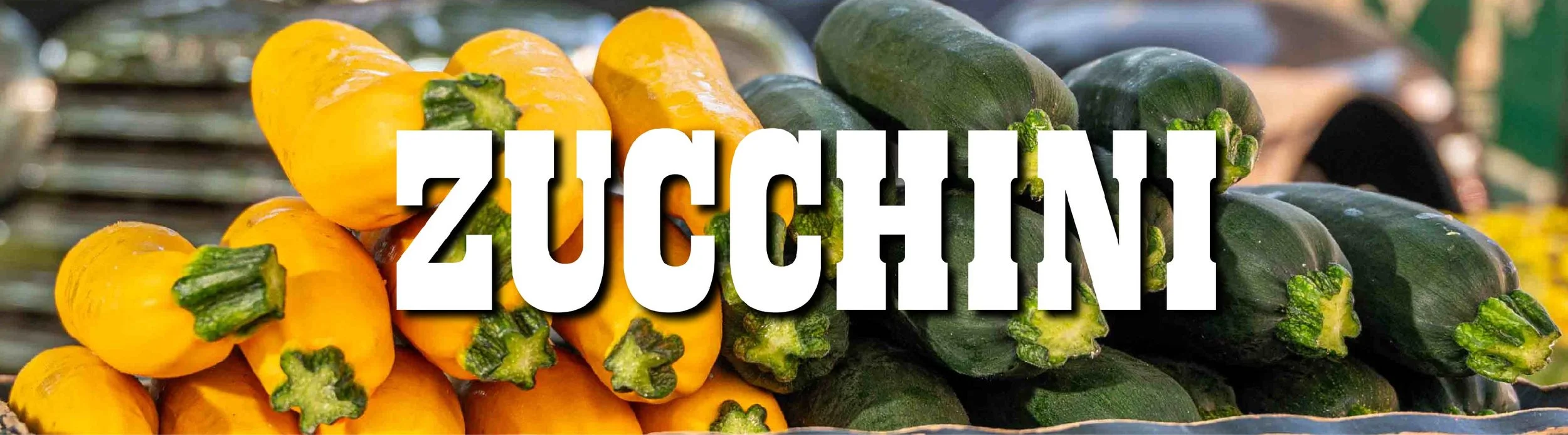 zucchini-01.jpg