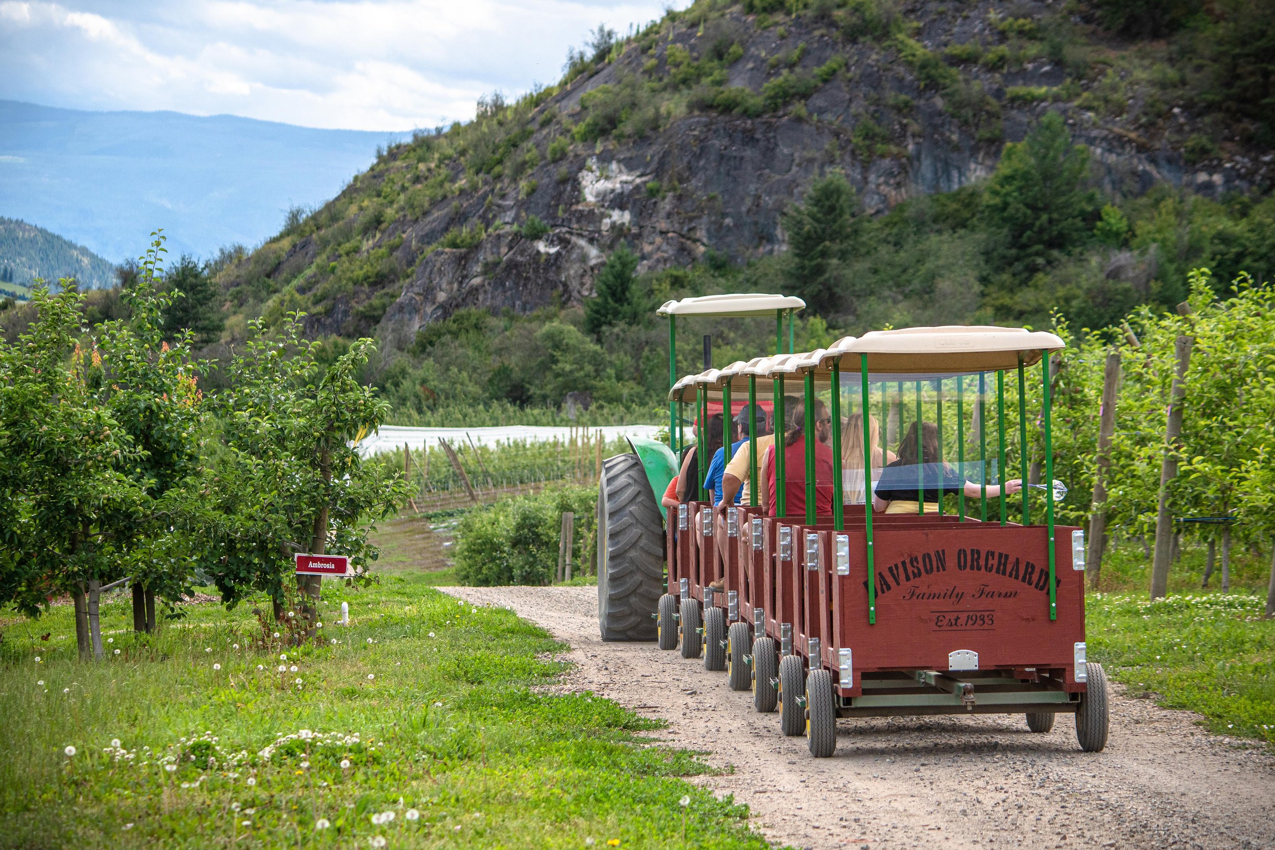 Tractor pulling carts at the Davison's apple orchard. Vernon, BC