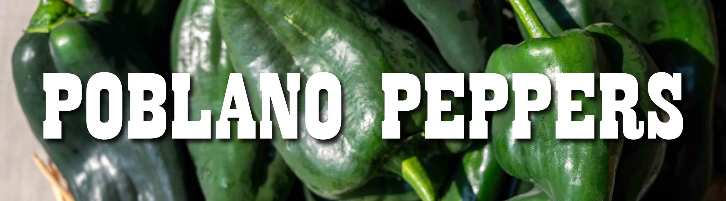 POBLANO PEPPERS-01.jpg