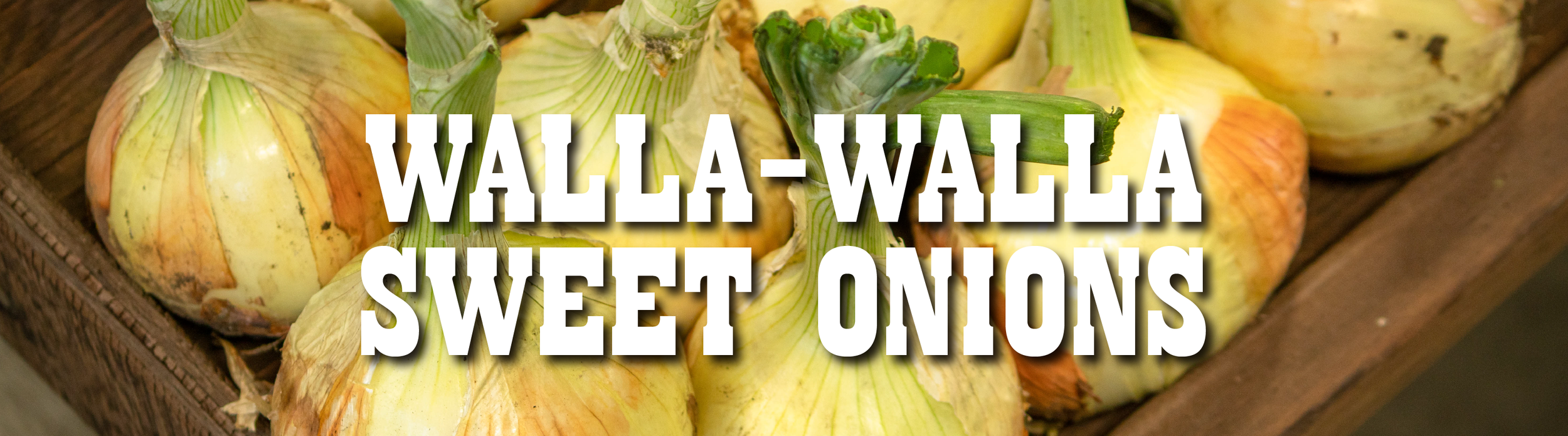 WALLAWALLLA-01.png