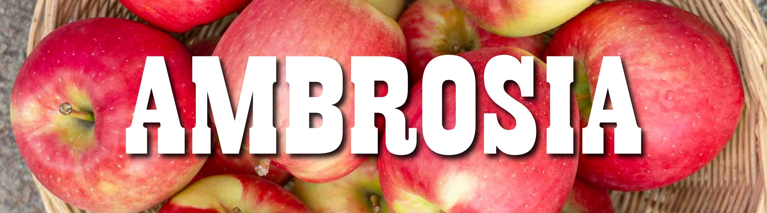ambrosia-01.jpg
