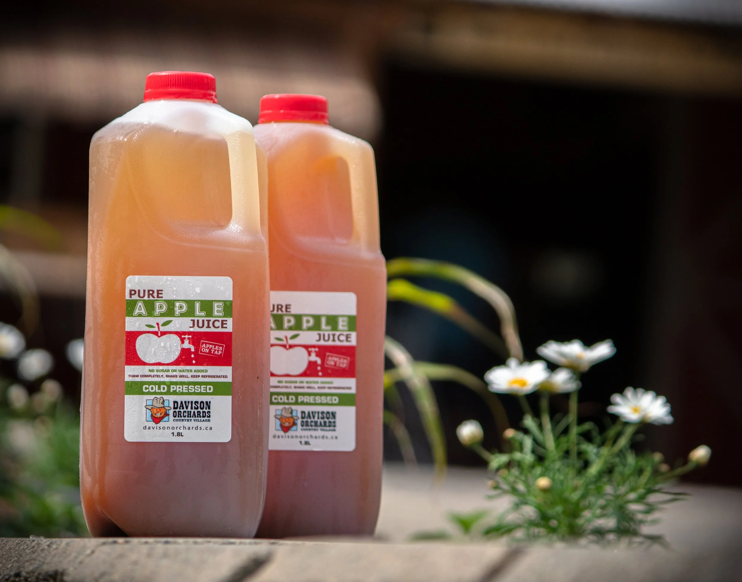 Fresh and refreshing pure apple juice on tap at Davison Orchards in Vernon BC, Okanagan Valley Canada