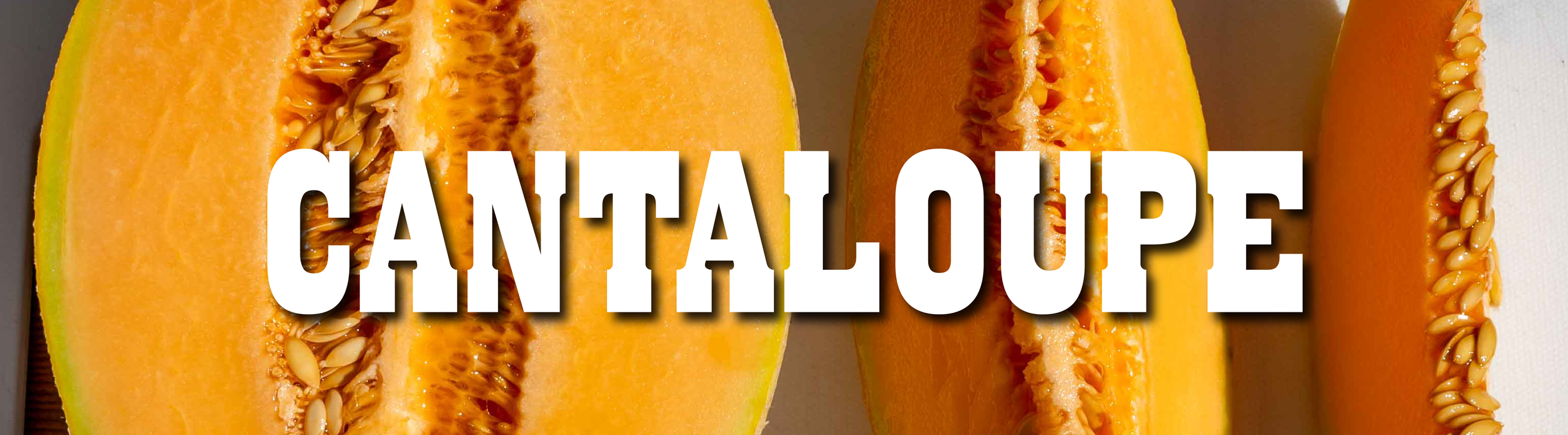 CANTALOUPE-01.png