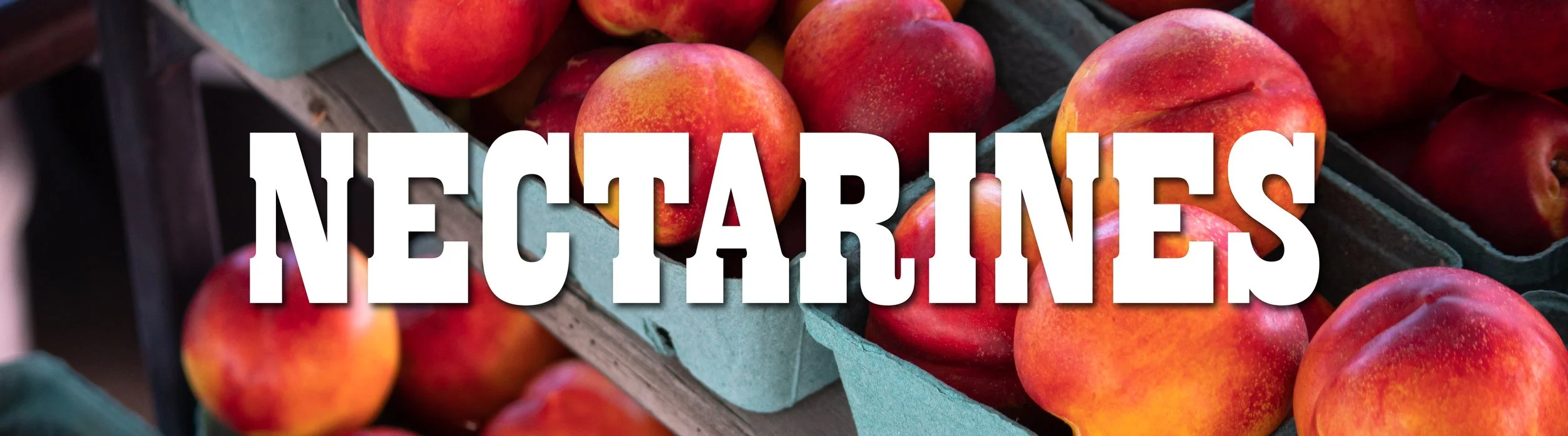 Nectarines.jpg