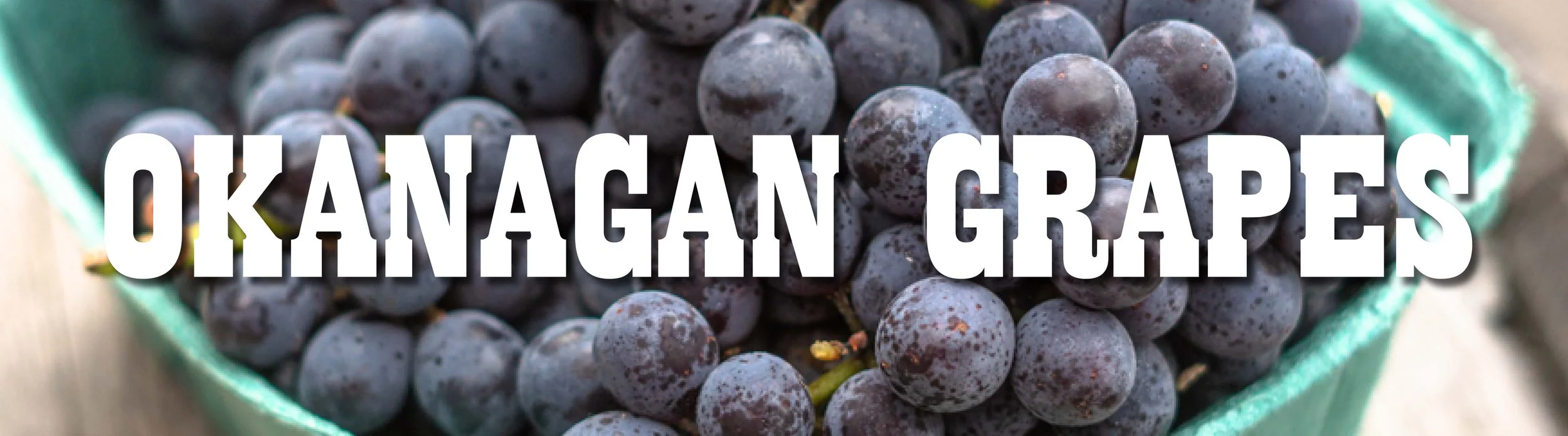 Okanagan Grapes.jpg