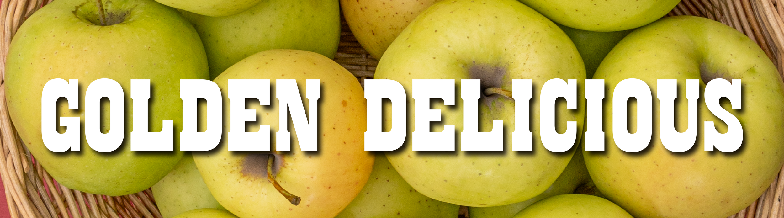 golden delicious-01.png