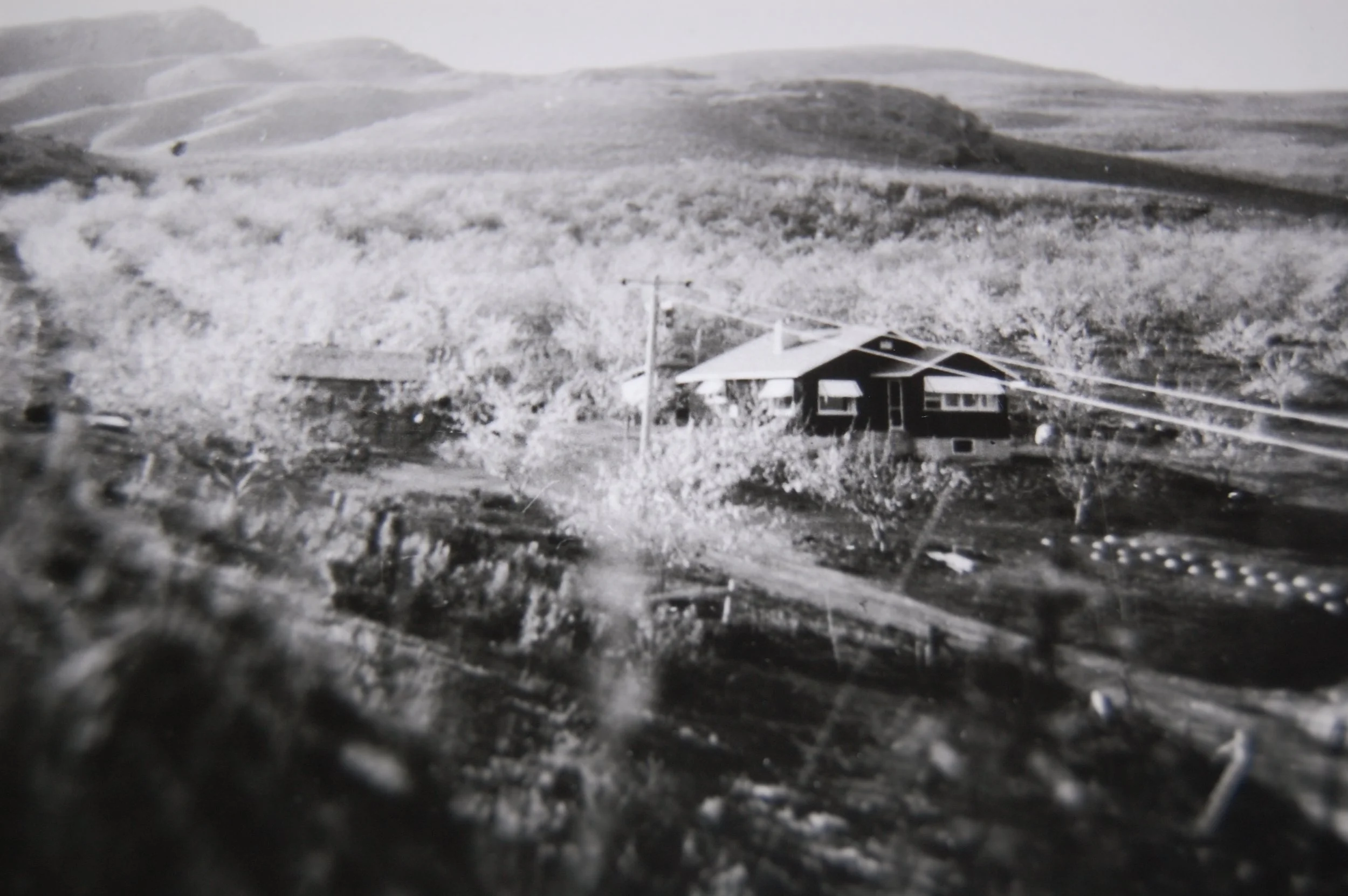Very old black and white photo of the first generation of the Davison family apple orchard, showing the historic beginnings of Davison Orchards in Vernon, BC in 1933