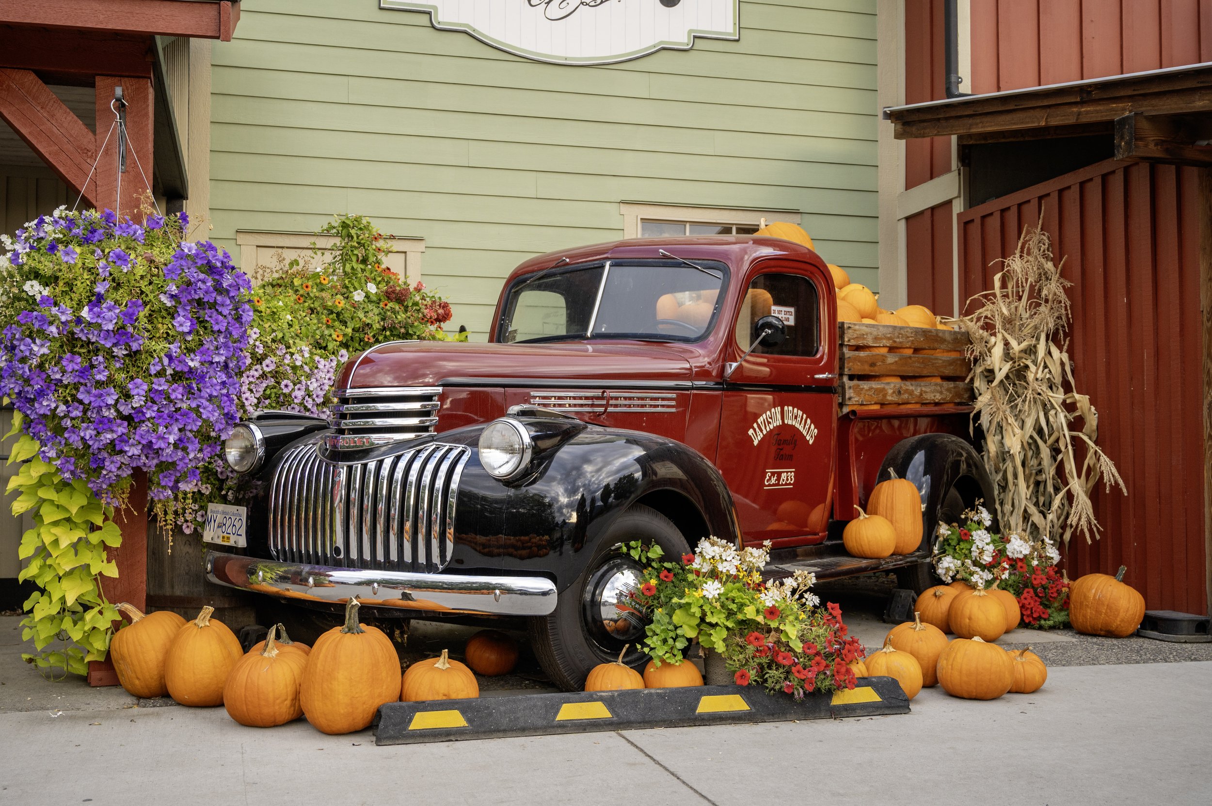 Fall display for photo op