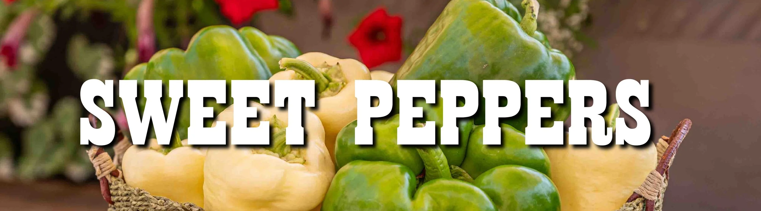 SWEET PEPPERS-01.jpg