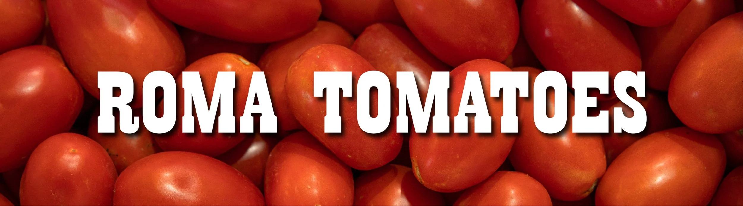 ROMA TOMATOES-01.jpg