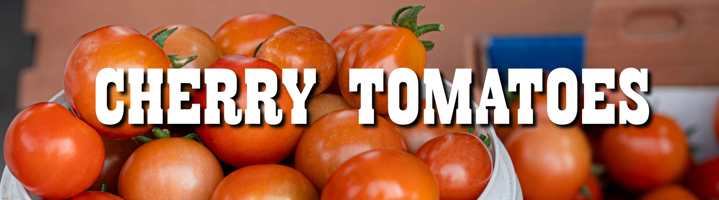CHERRY TOMATOES.png