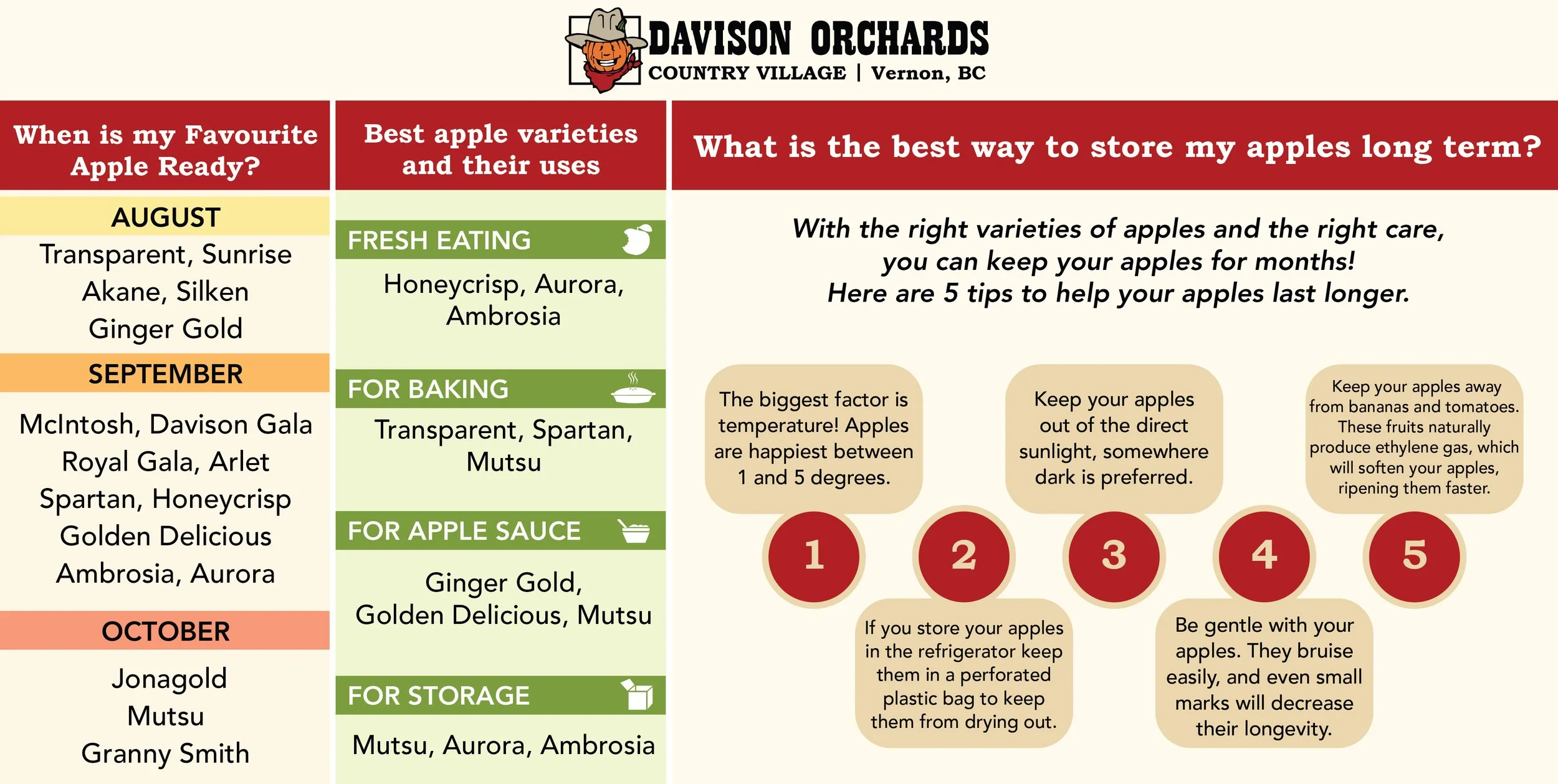 Apple Varieties Guide: Season, Uses and Storage Tips