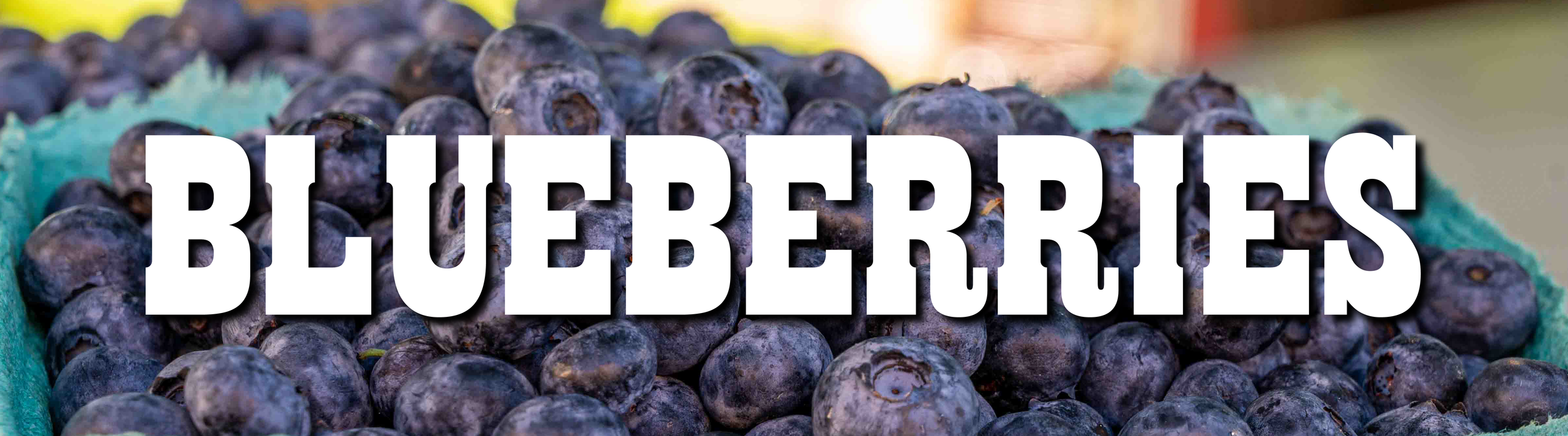 BLUEBERRIES-01.png