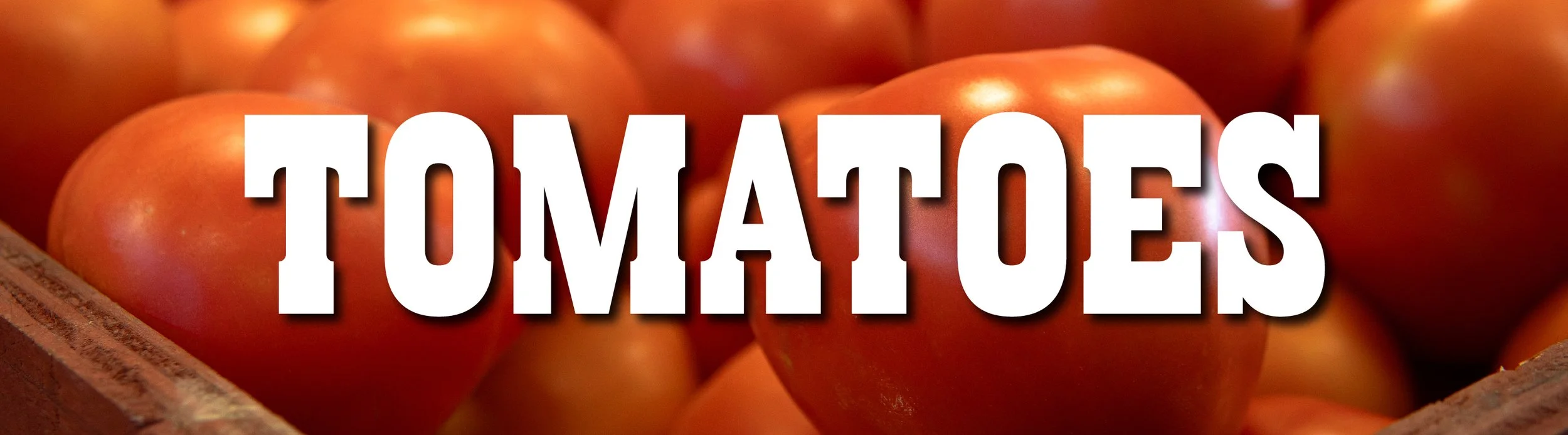 TOMATOES-01.jpg