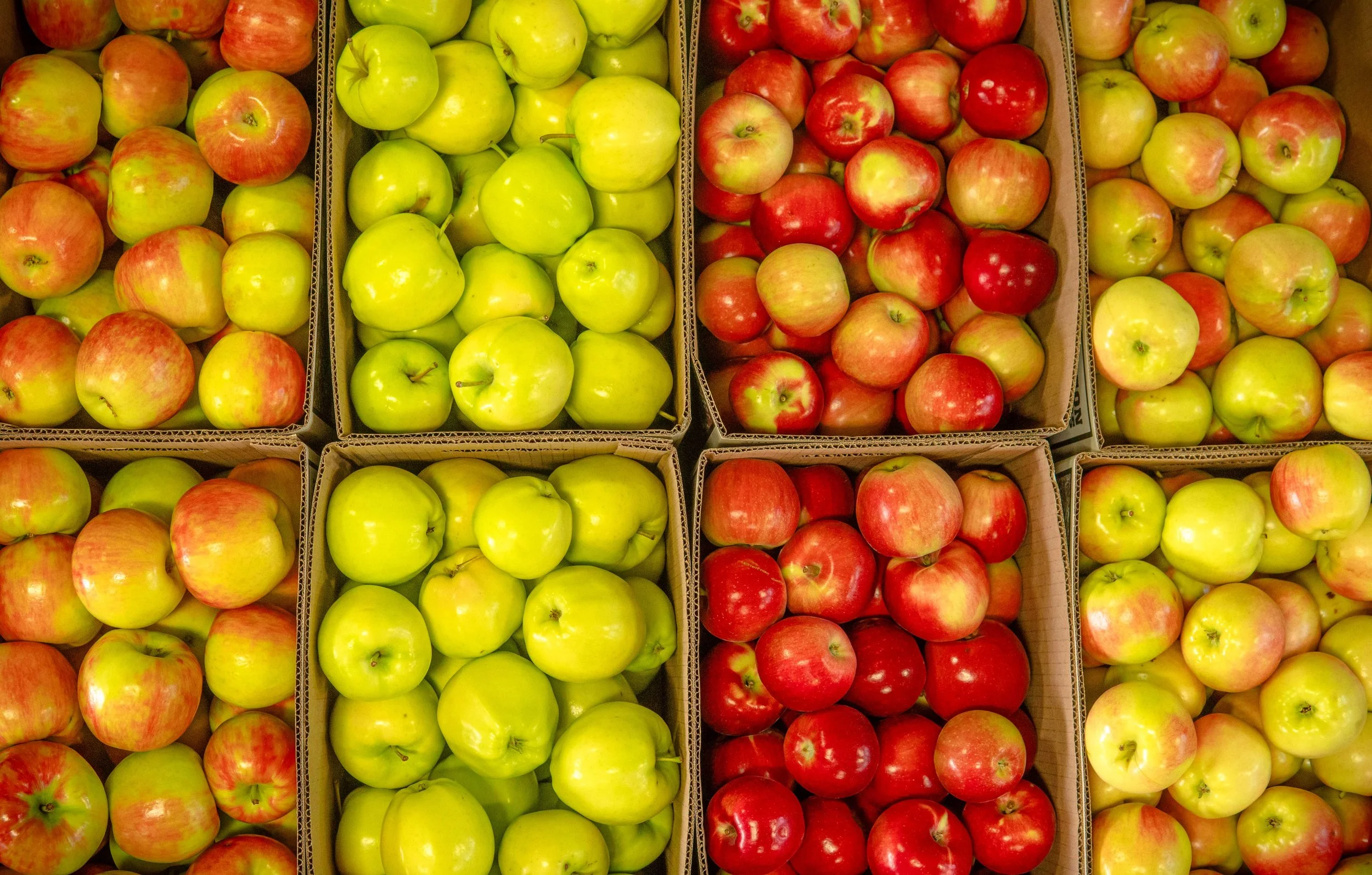 Different apple varieties displayed in harvest boxes at Davison Orchards market in Vernon BC, Okanagan Valley